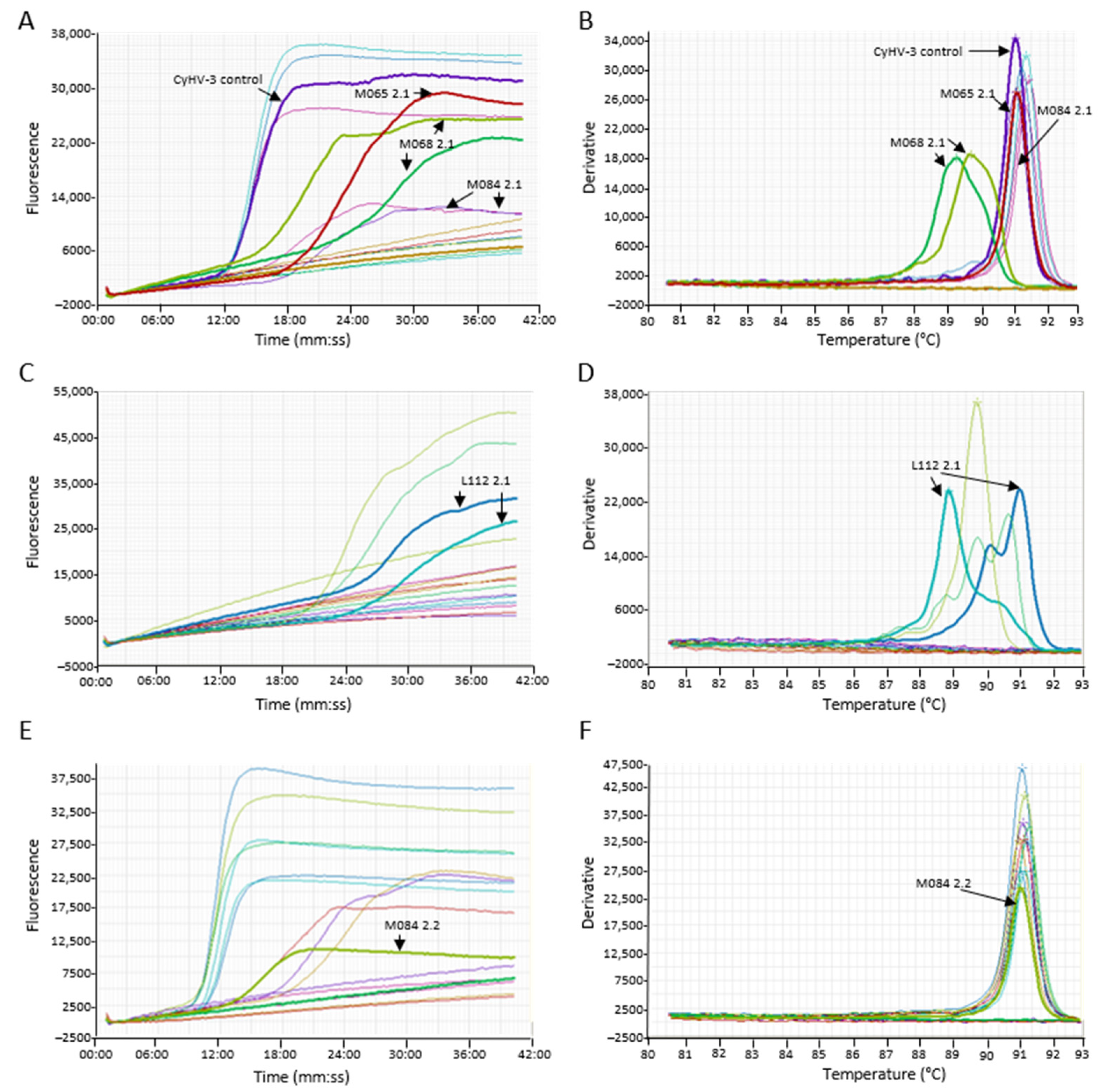 Animals 11 00459 g005