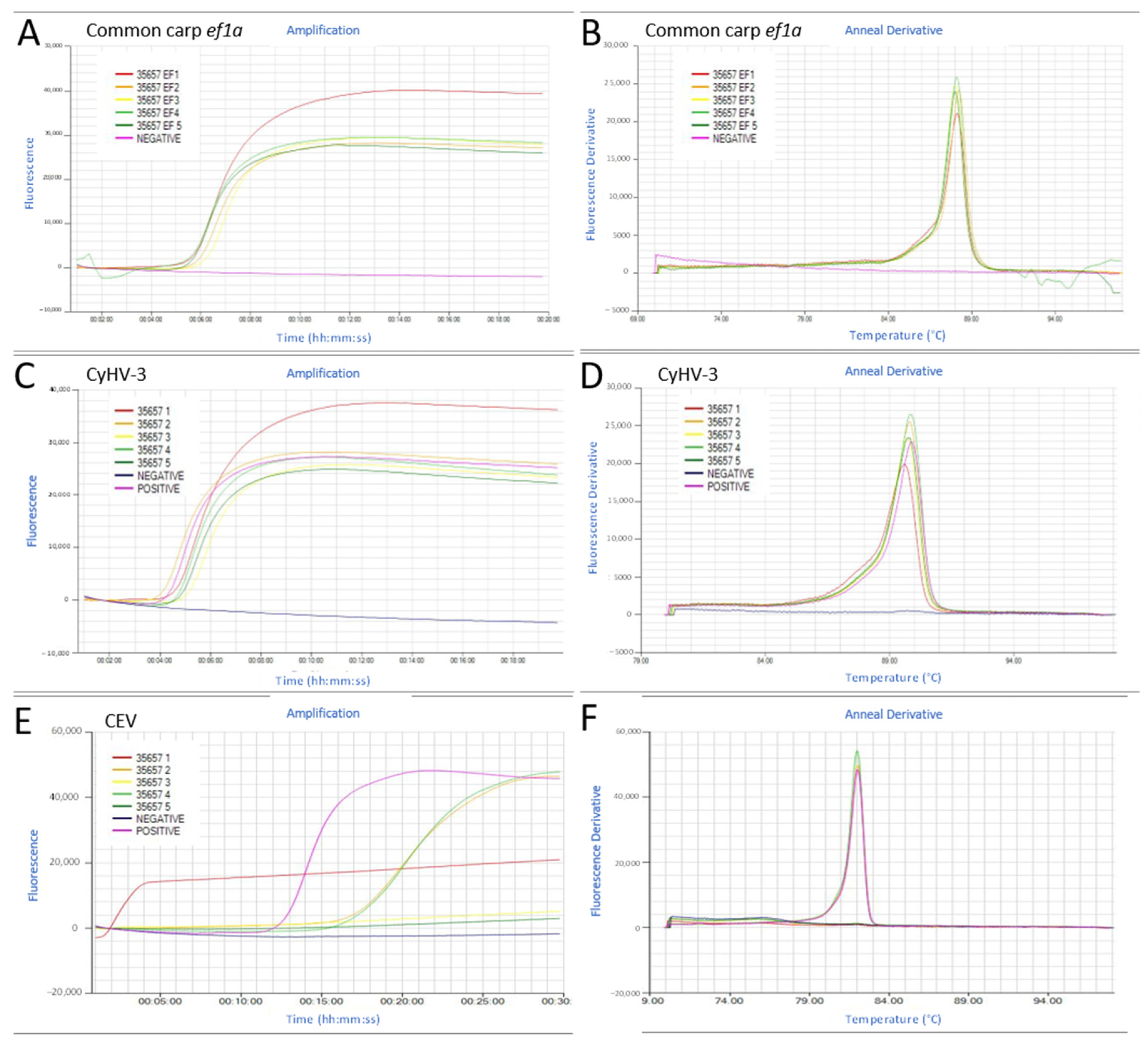 Animals 11 00459 g006