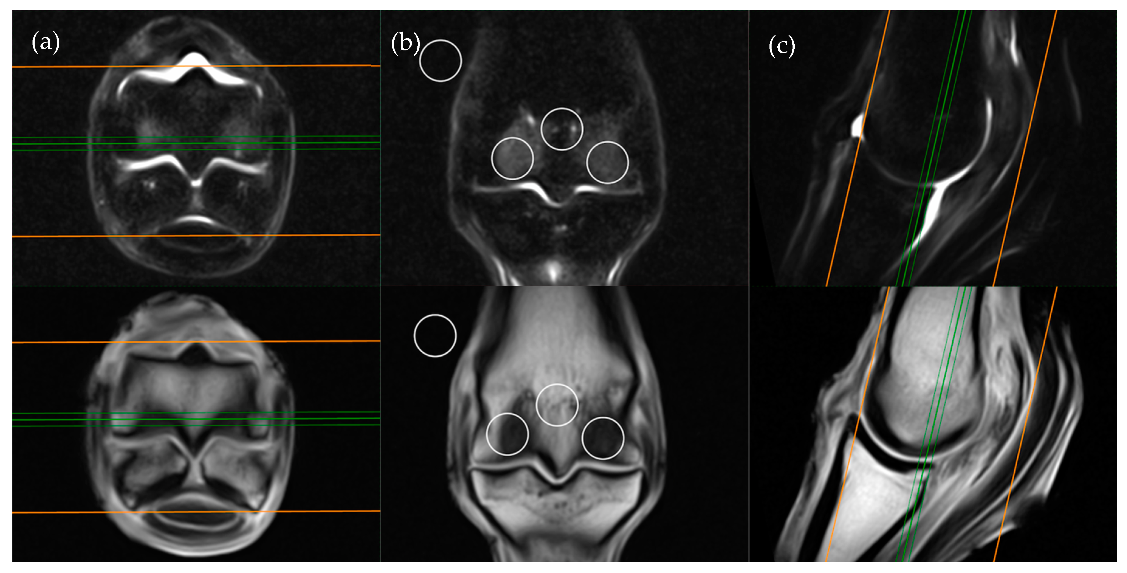 Animals 11 00475 g001