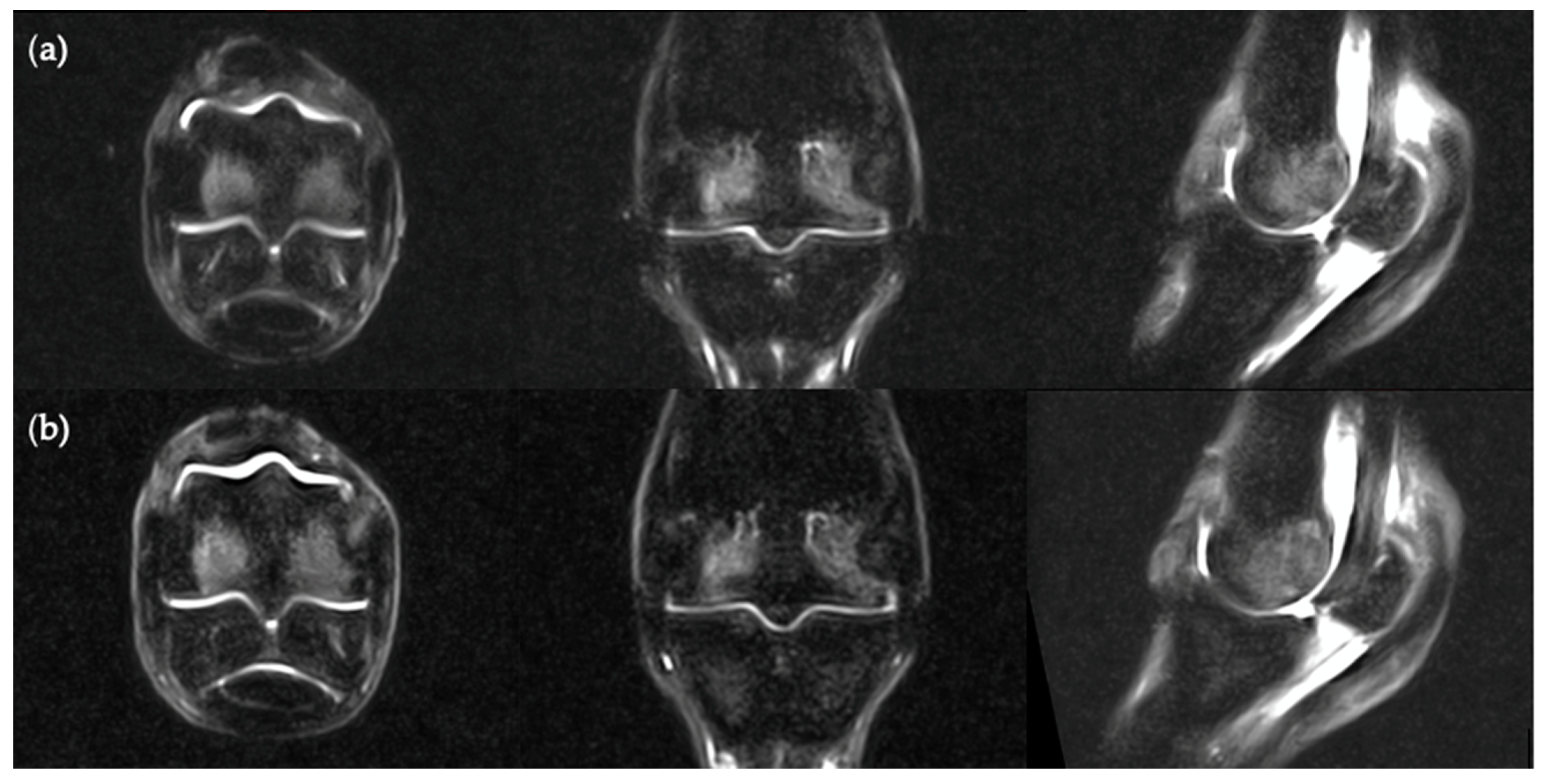 Animals 11 00475 g005