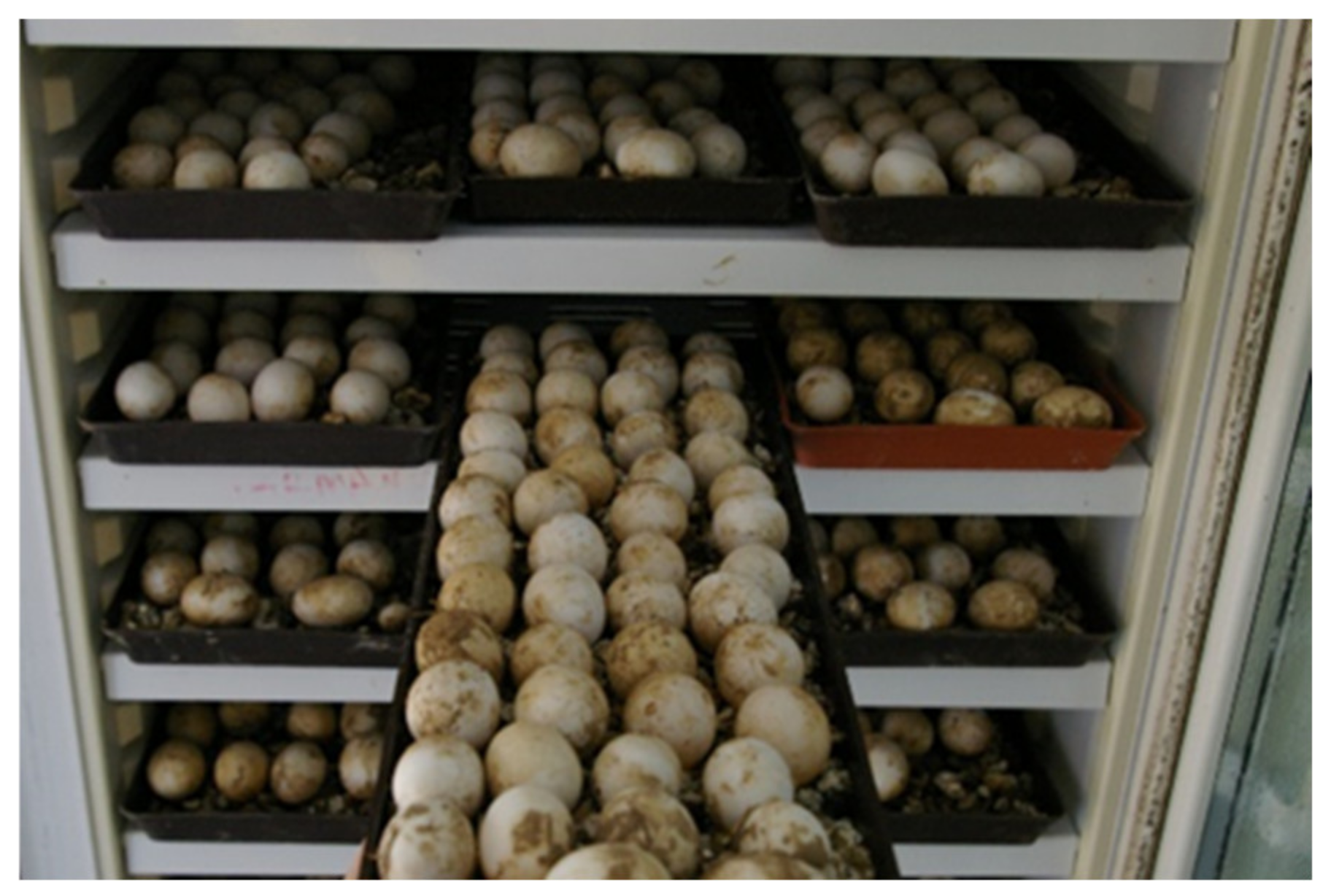 Animals 11 00478 g004