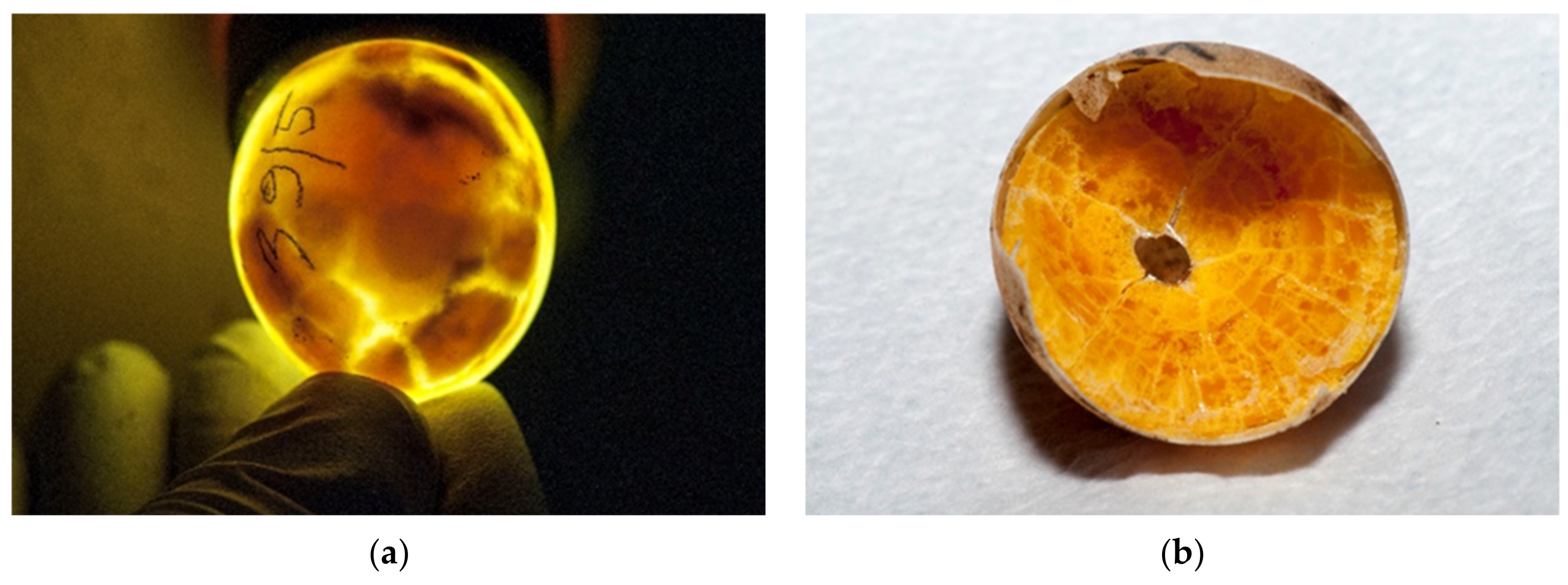 Animals 11 00478 g006a