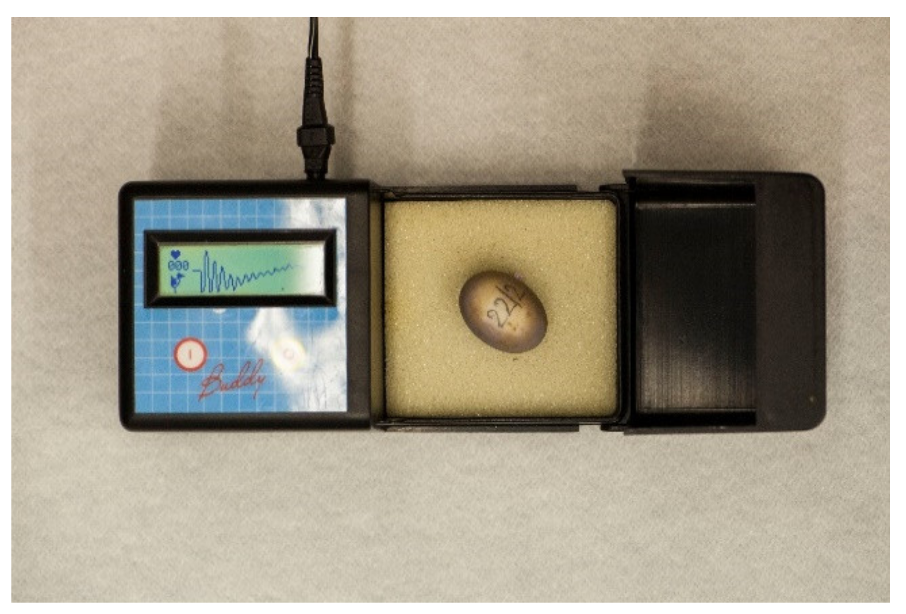 Animals 11 00478 g007