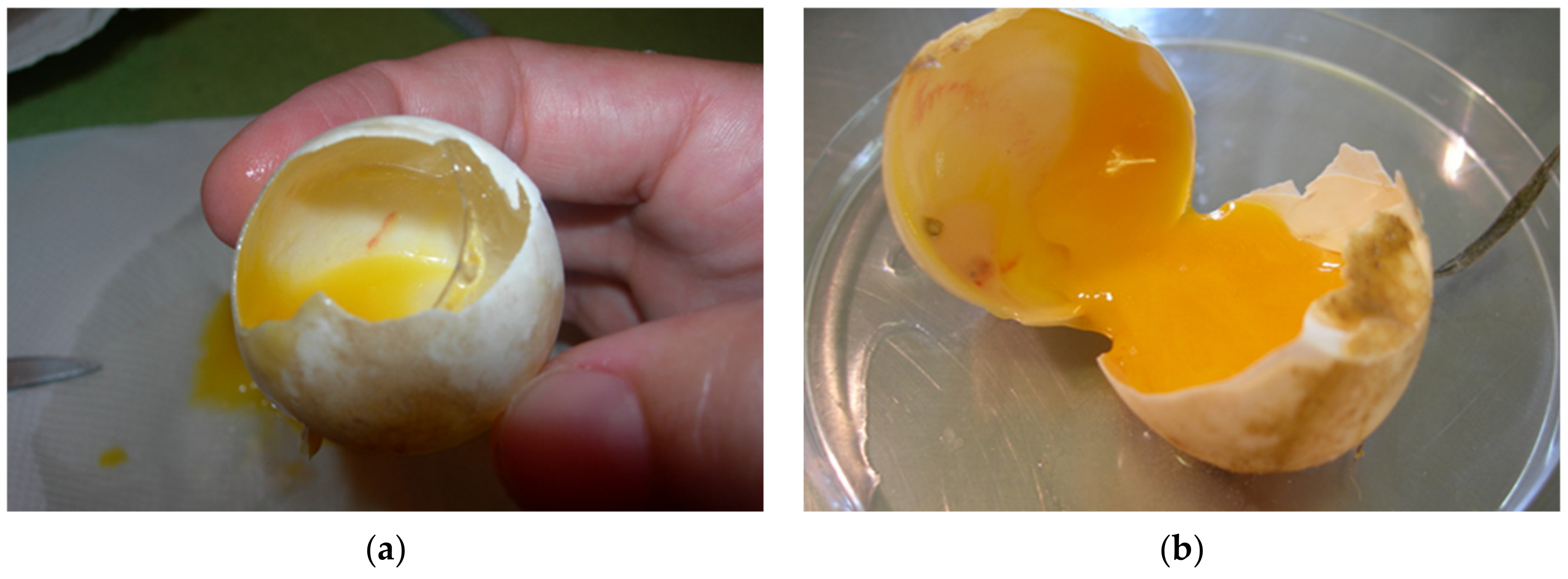 Animals 11 00478 g013