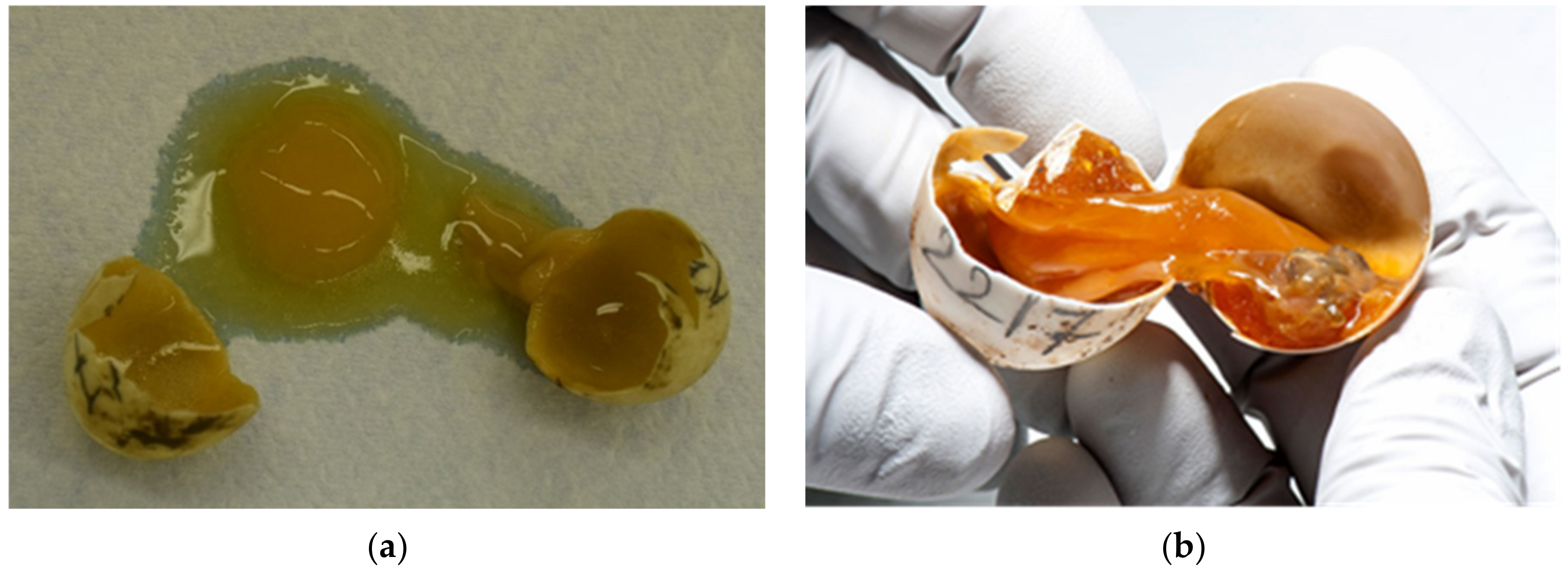 Animals 11 00478 g015a