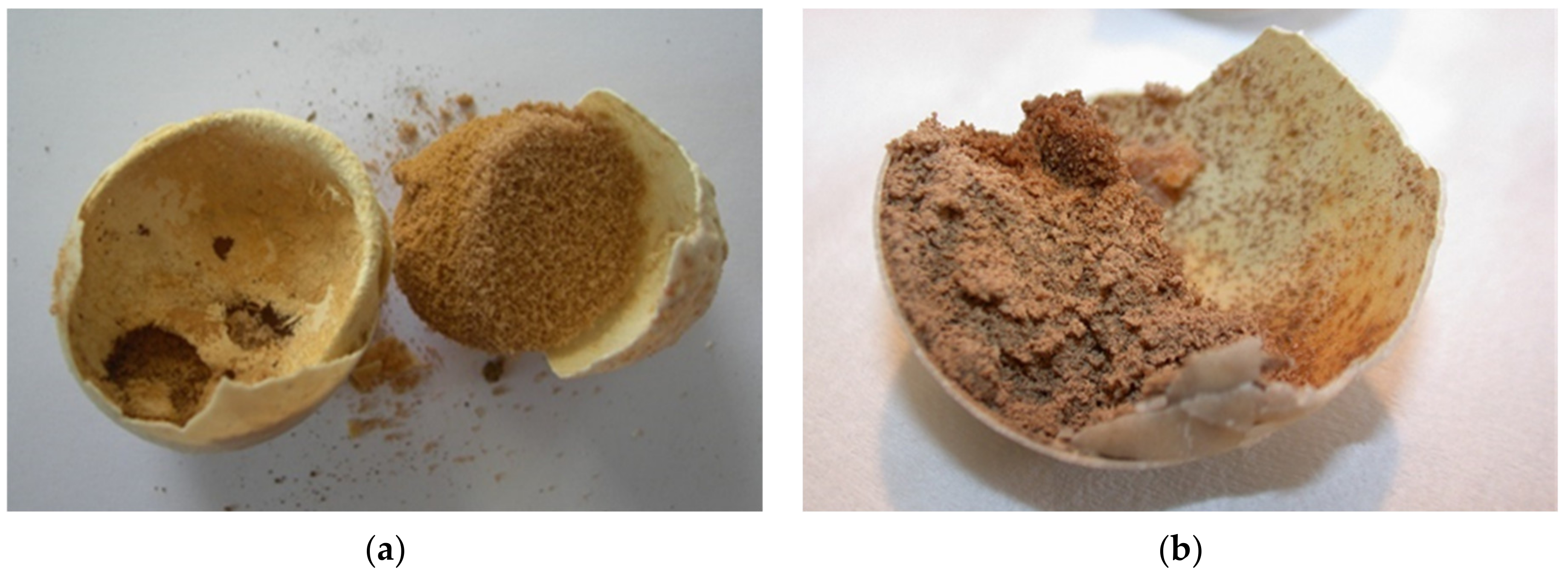 Animals 11 00478 g016a