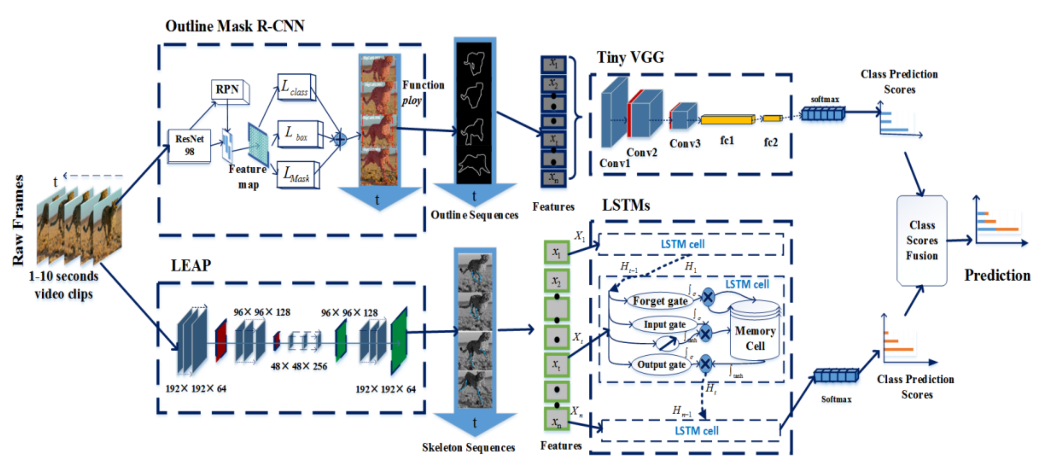 Animals 11 00485 g002