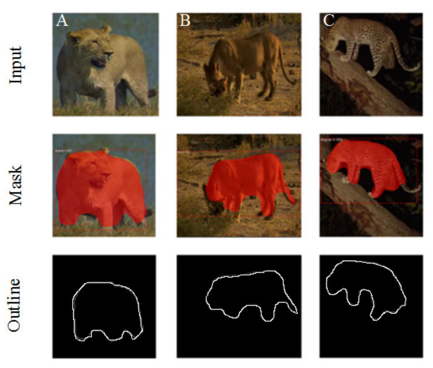 Animals 11 00485 g003