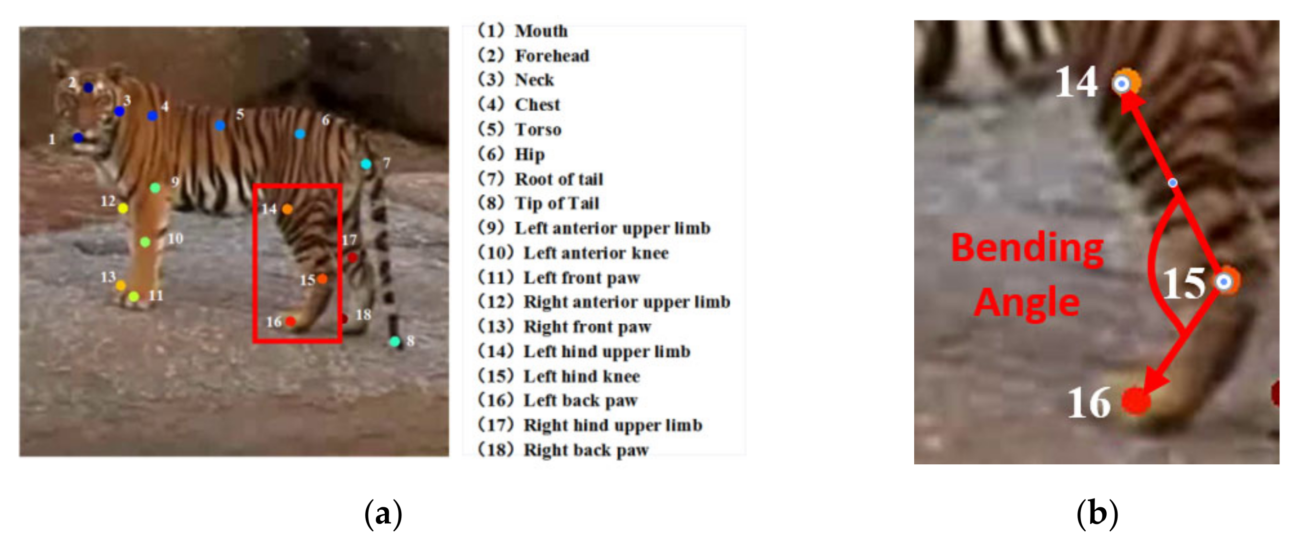 Animals 11 00485 g005