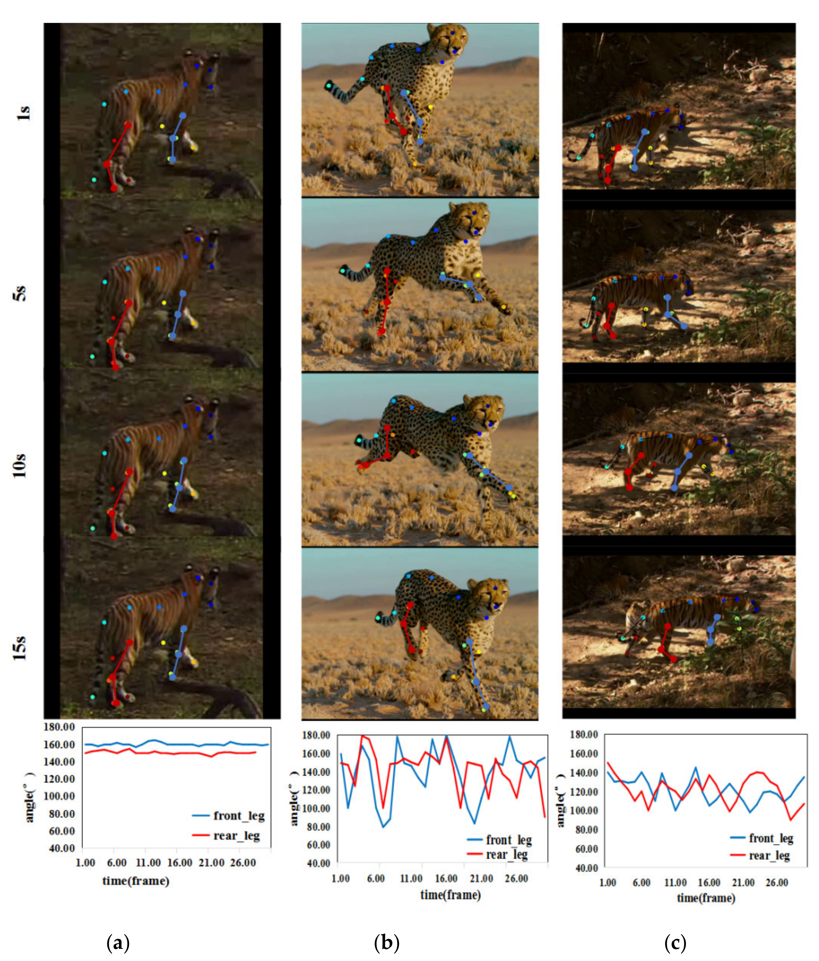 Animals 11 00485 g007