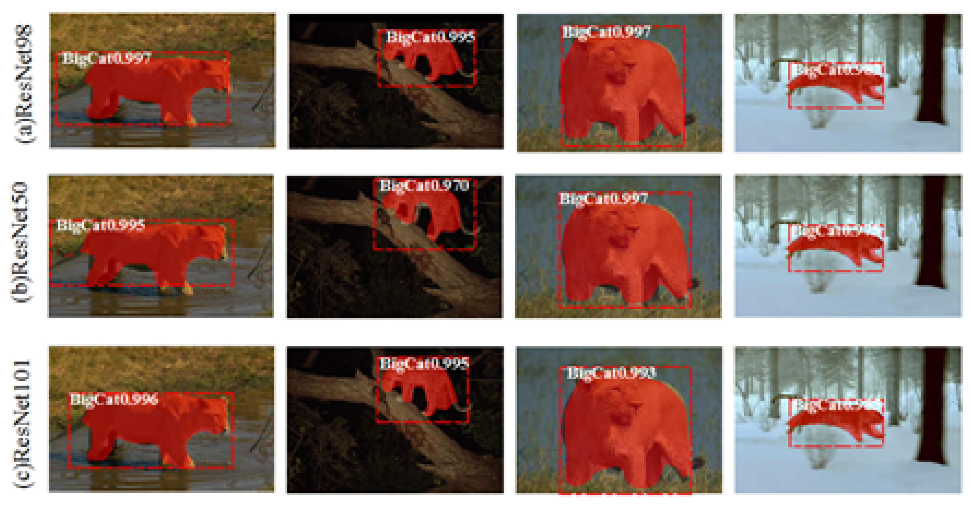 Animals 11 00485 g009