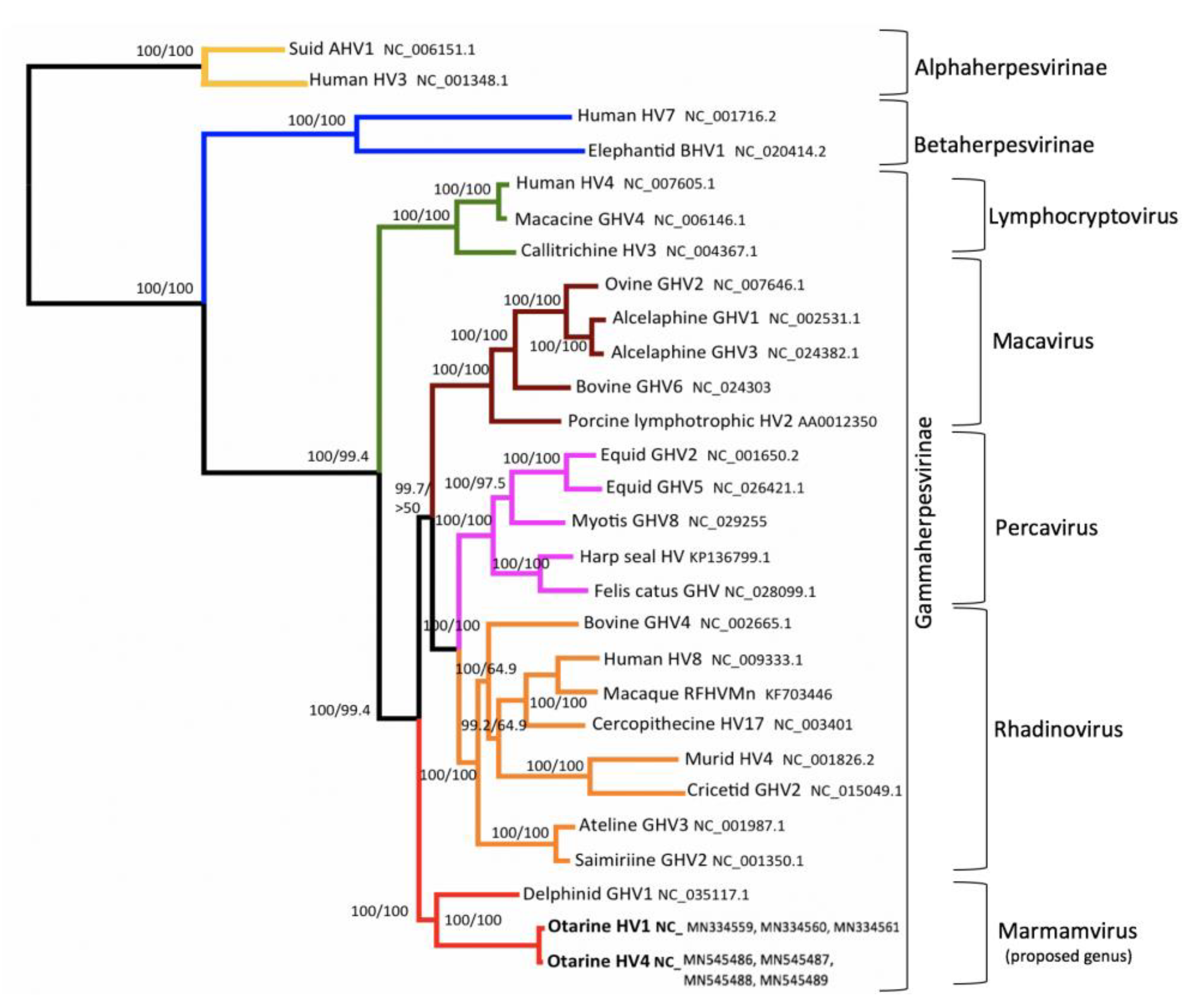 Animals 11 00491 g002