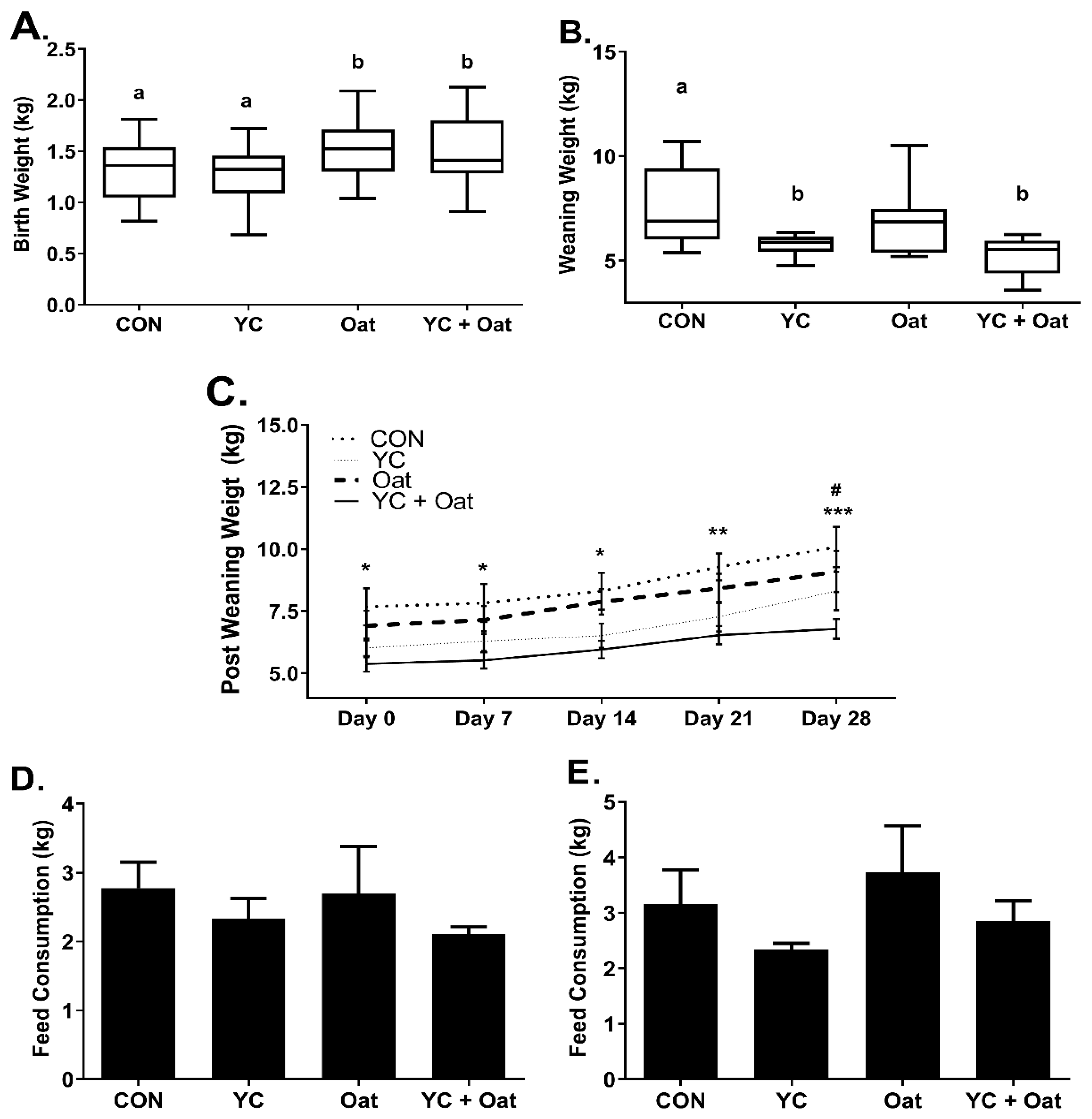 Animals 11 00497 g001