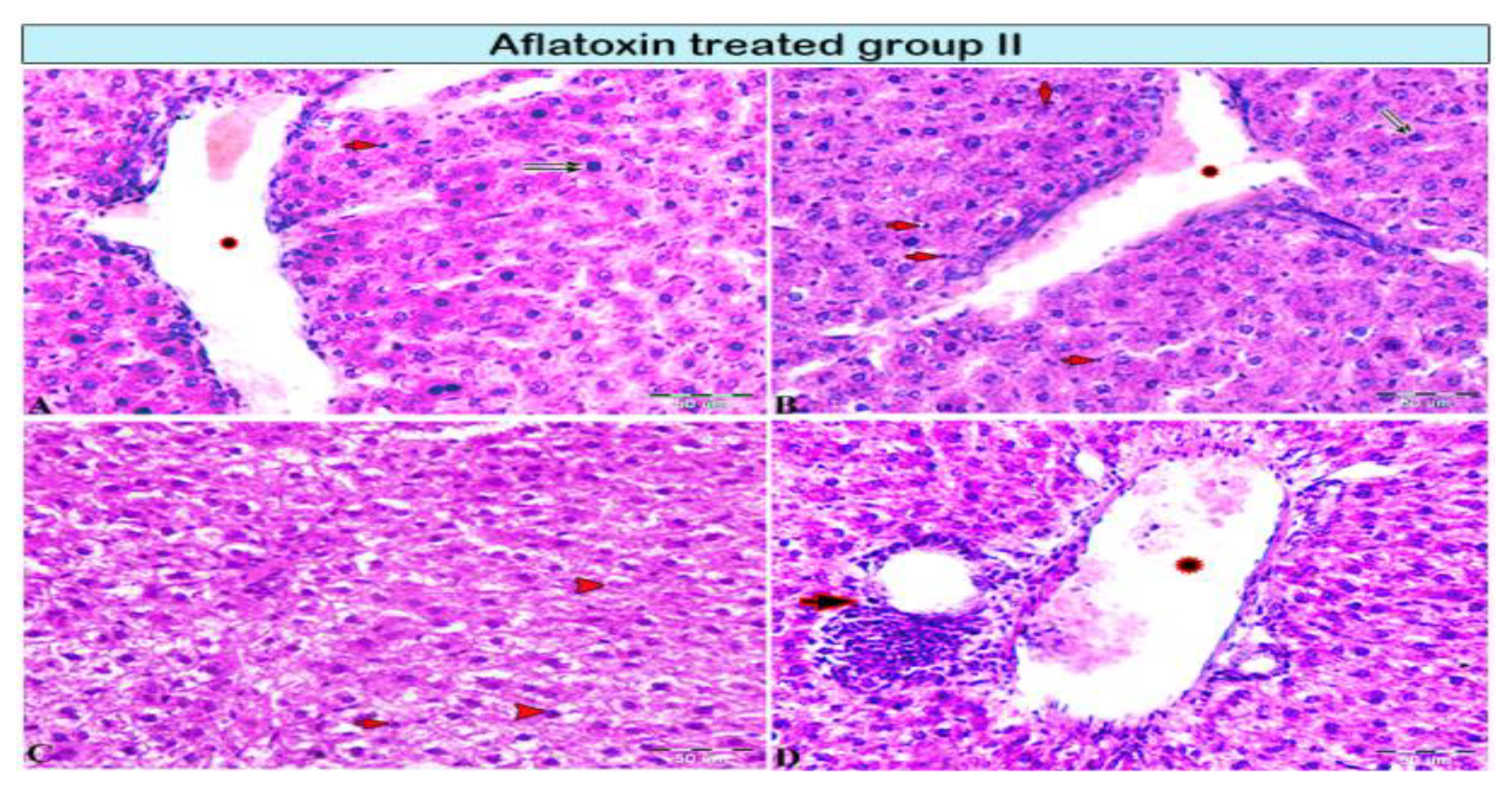 Animals 11 00509 g002