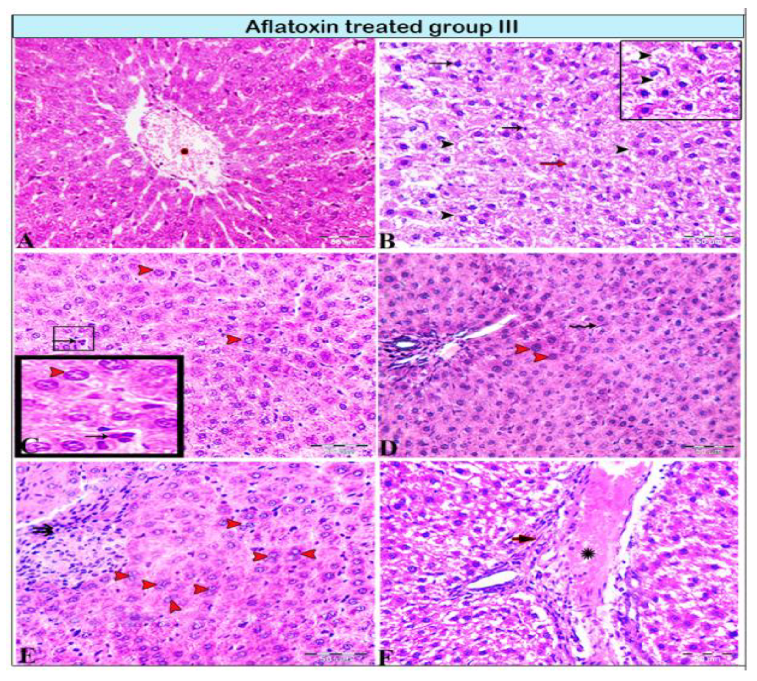 Animals 11 00509 g003