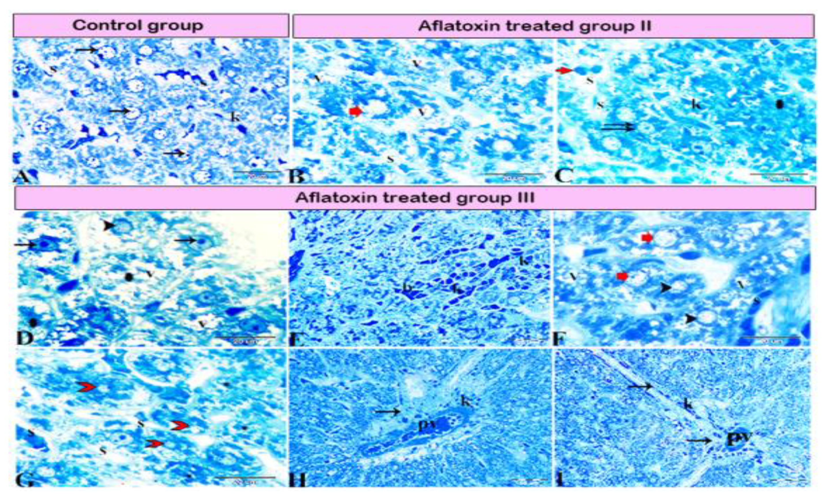 Animals 11 00509 g004