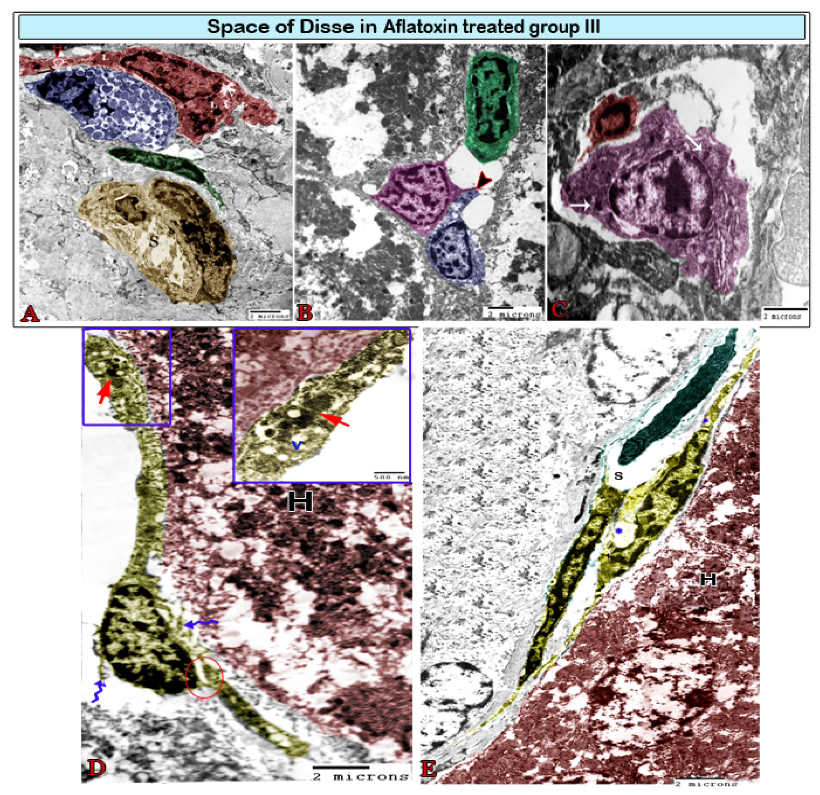 Animals 11 00509 g008