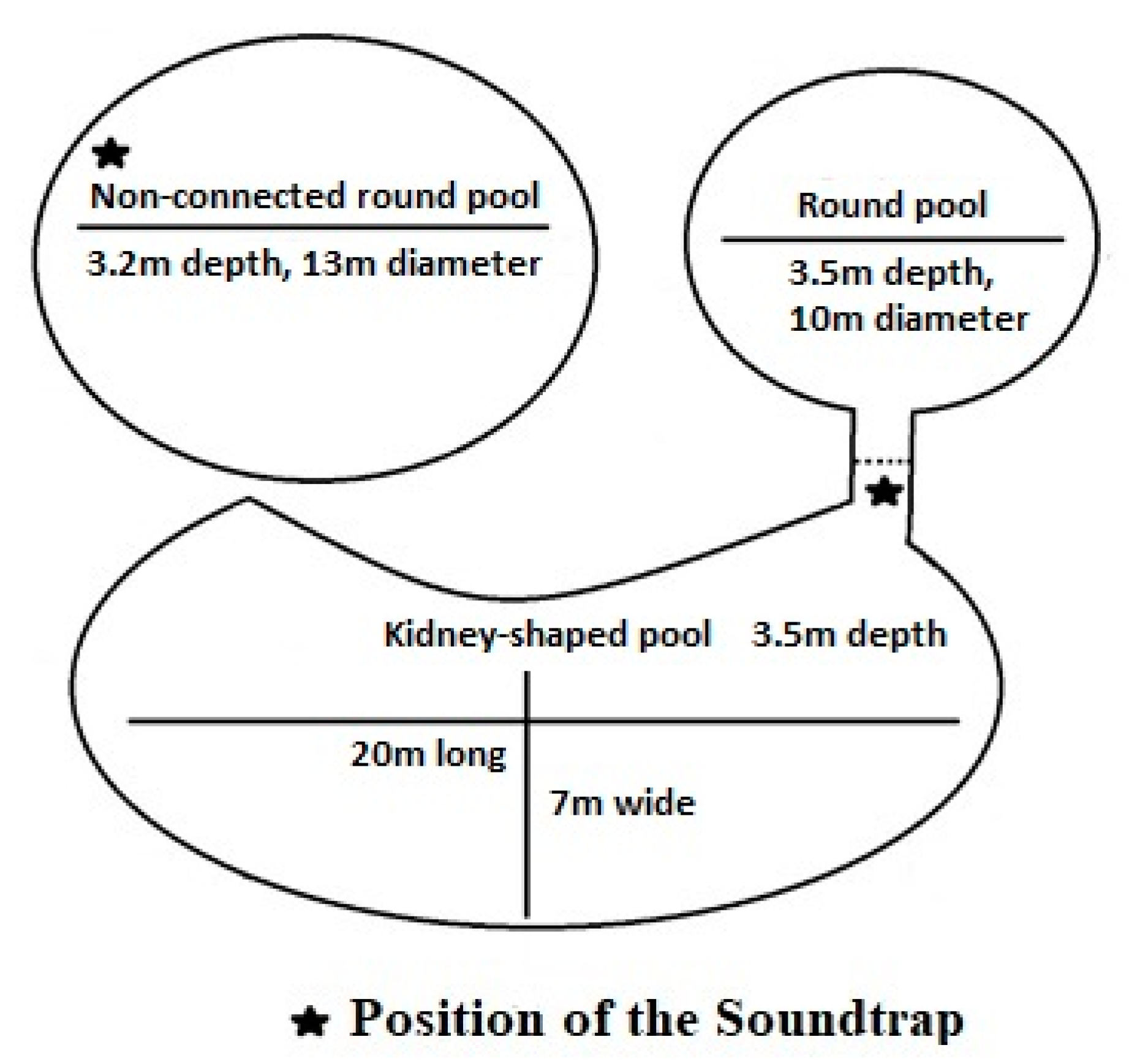 Animals 11 00511 g001