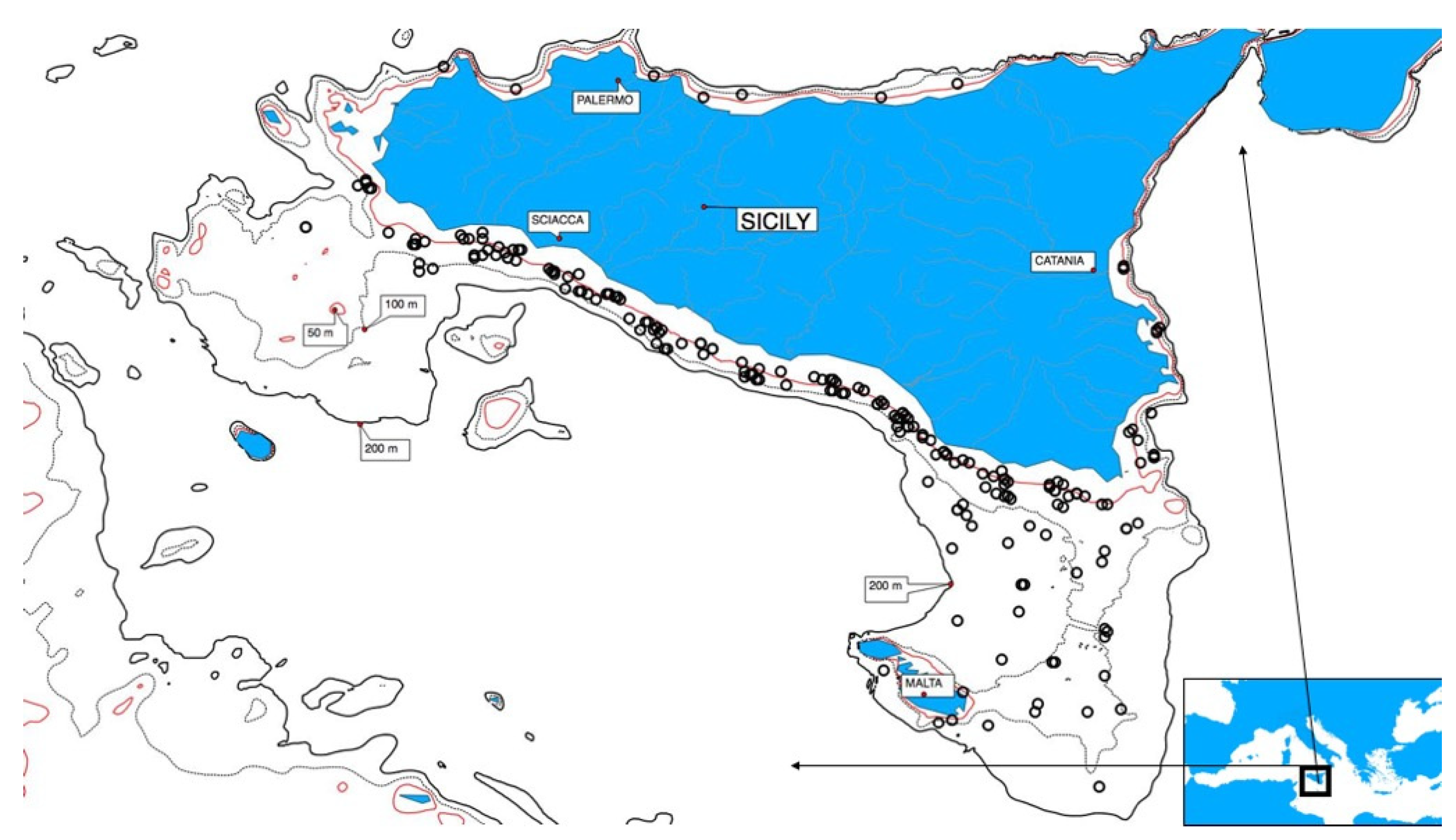 Animals 11 00529 g001 Animals 11 00529 g001