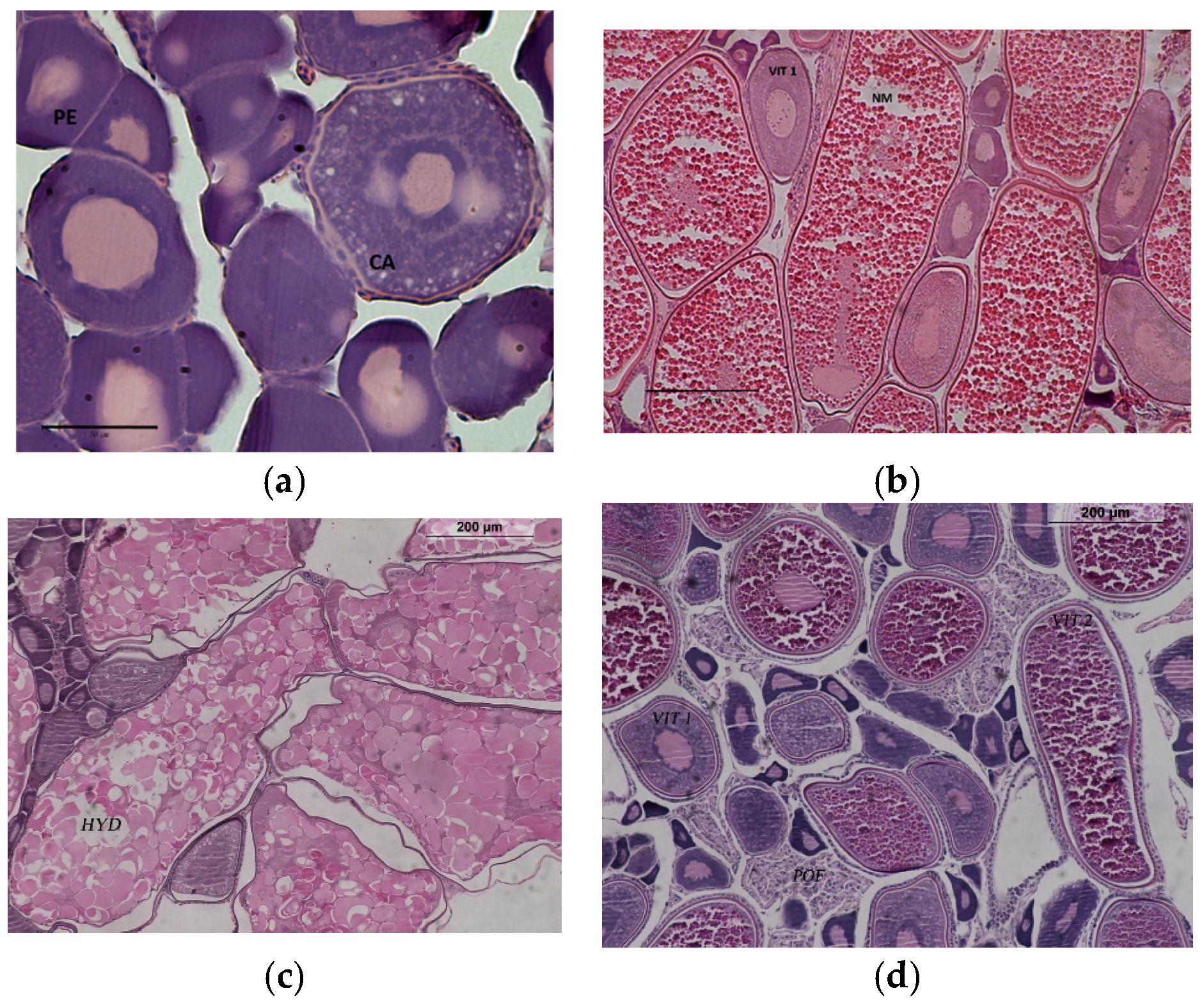 Animals 11 00529 g002 Animals 11 00529 g002