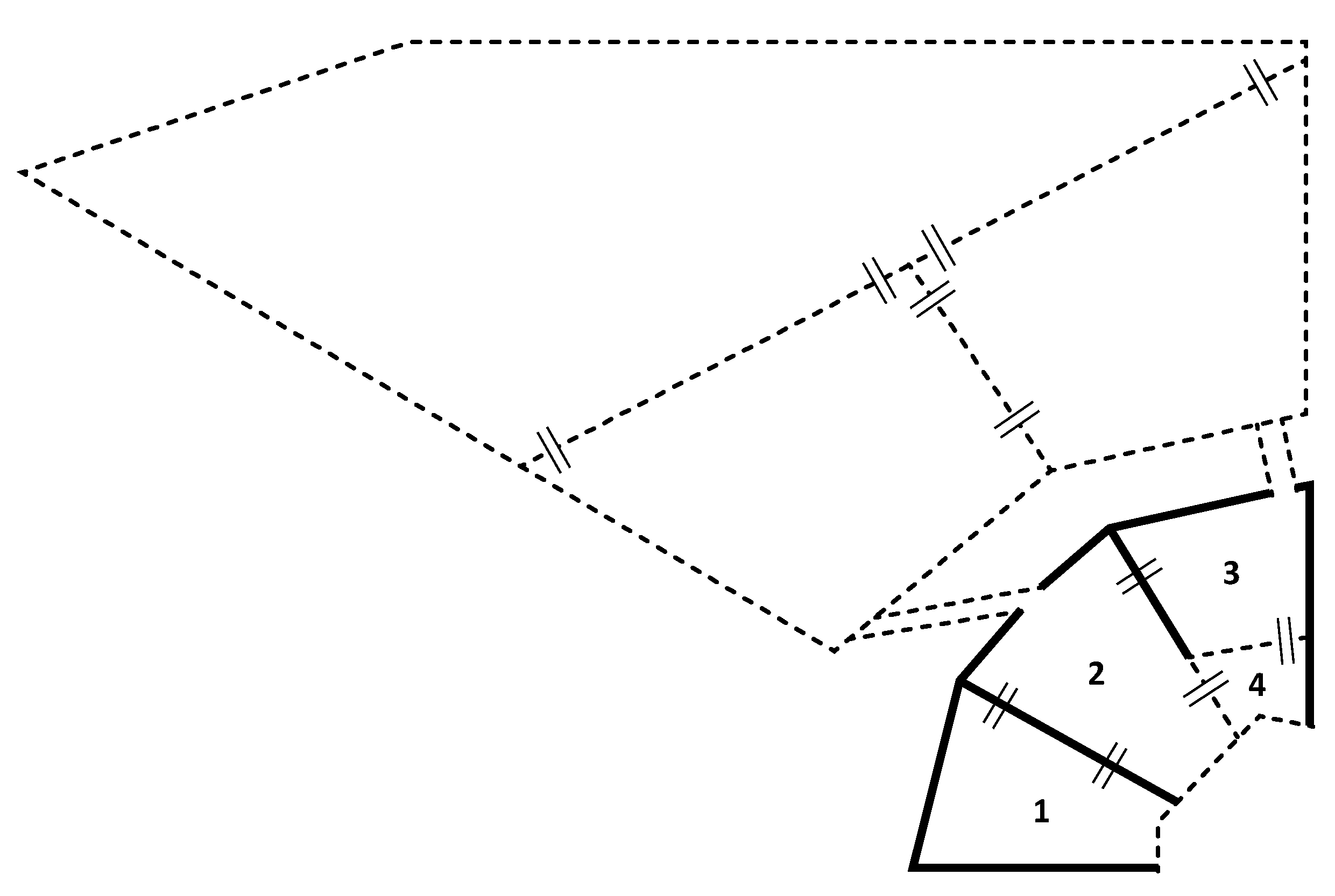 Animals 11 00545 g001