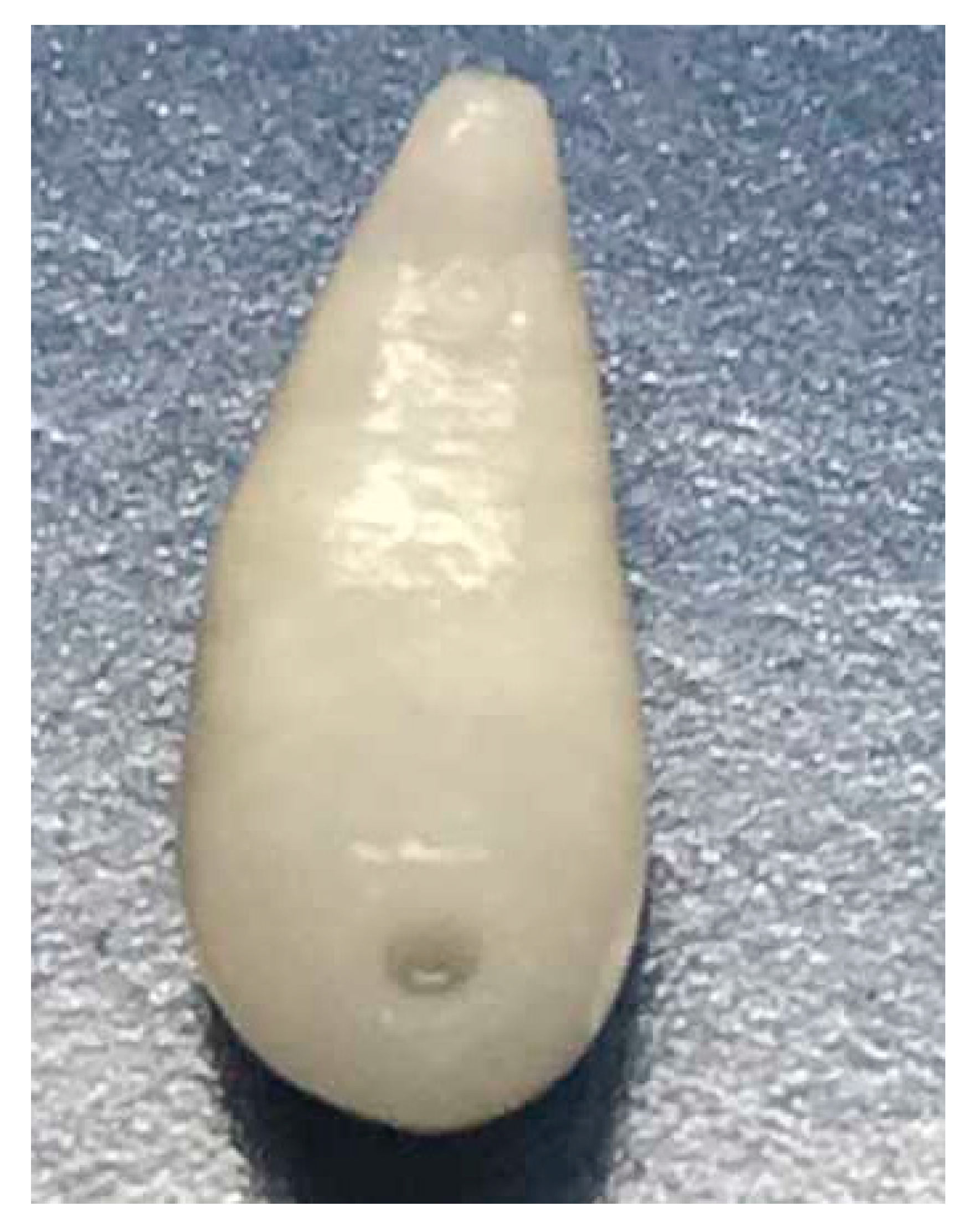 Animals 11 00549 g005