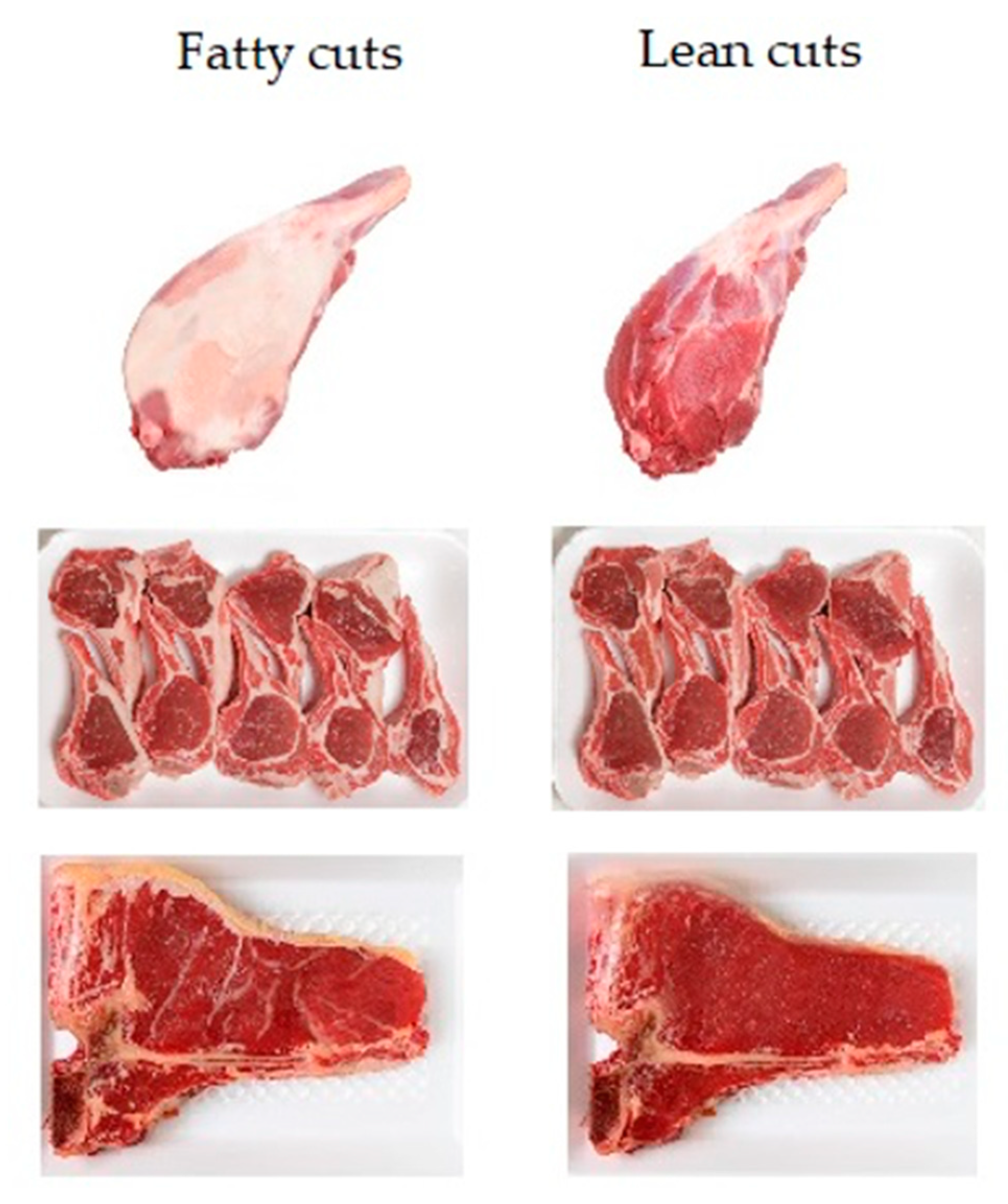 Animals 11 00556 g002 Animals 11 00556 g002