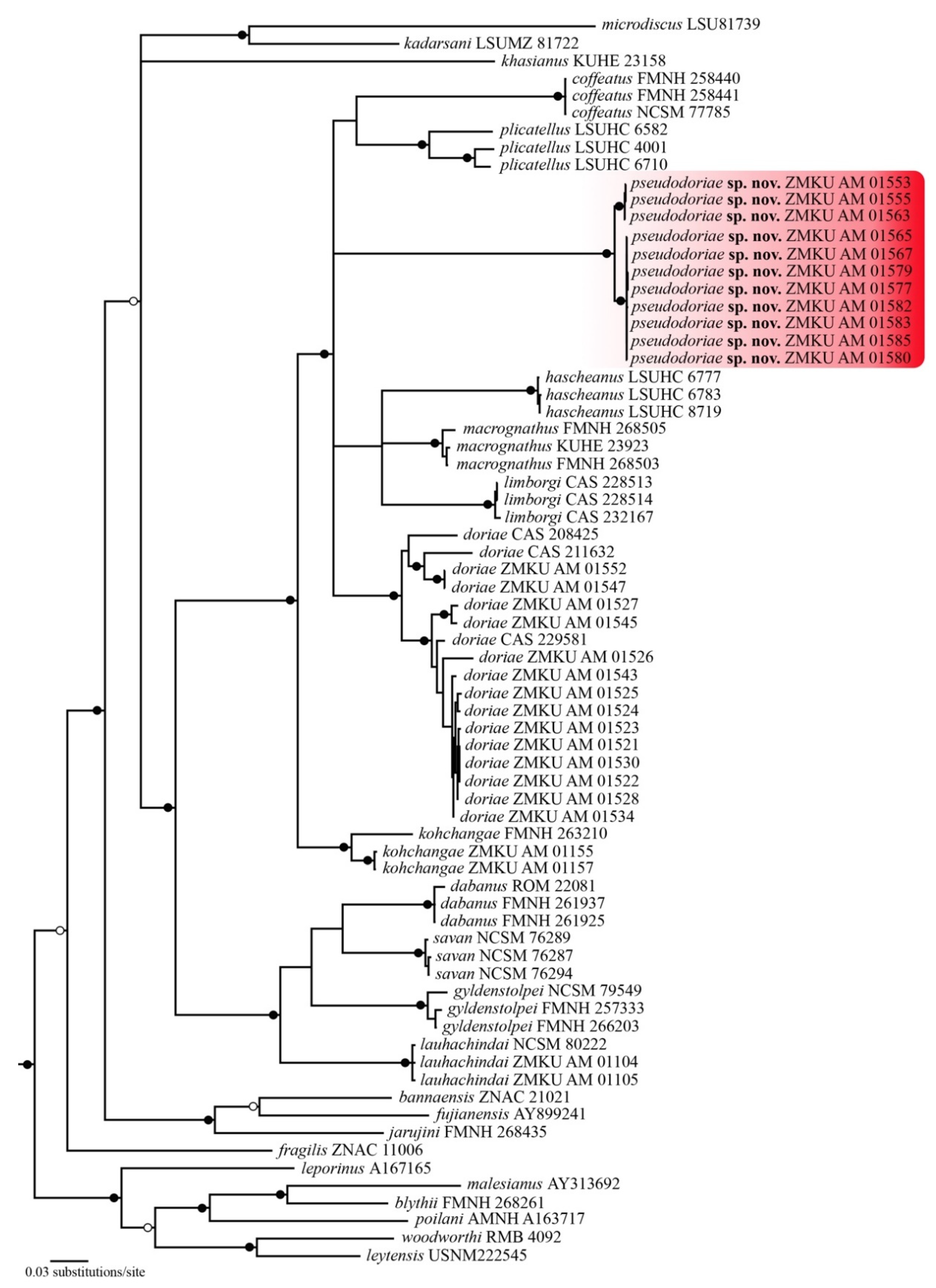 Animals 11 00566 g001