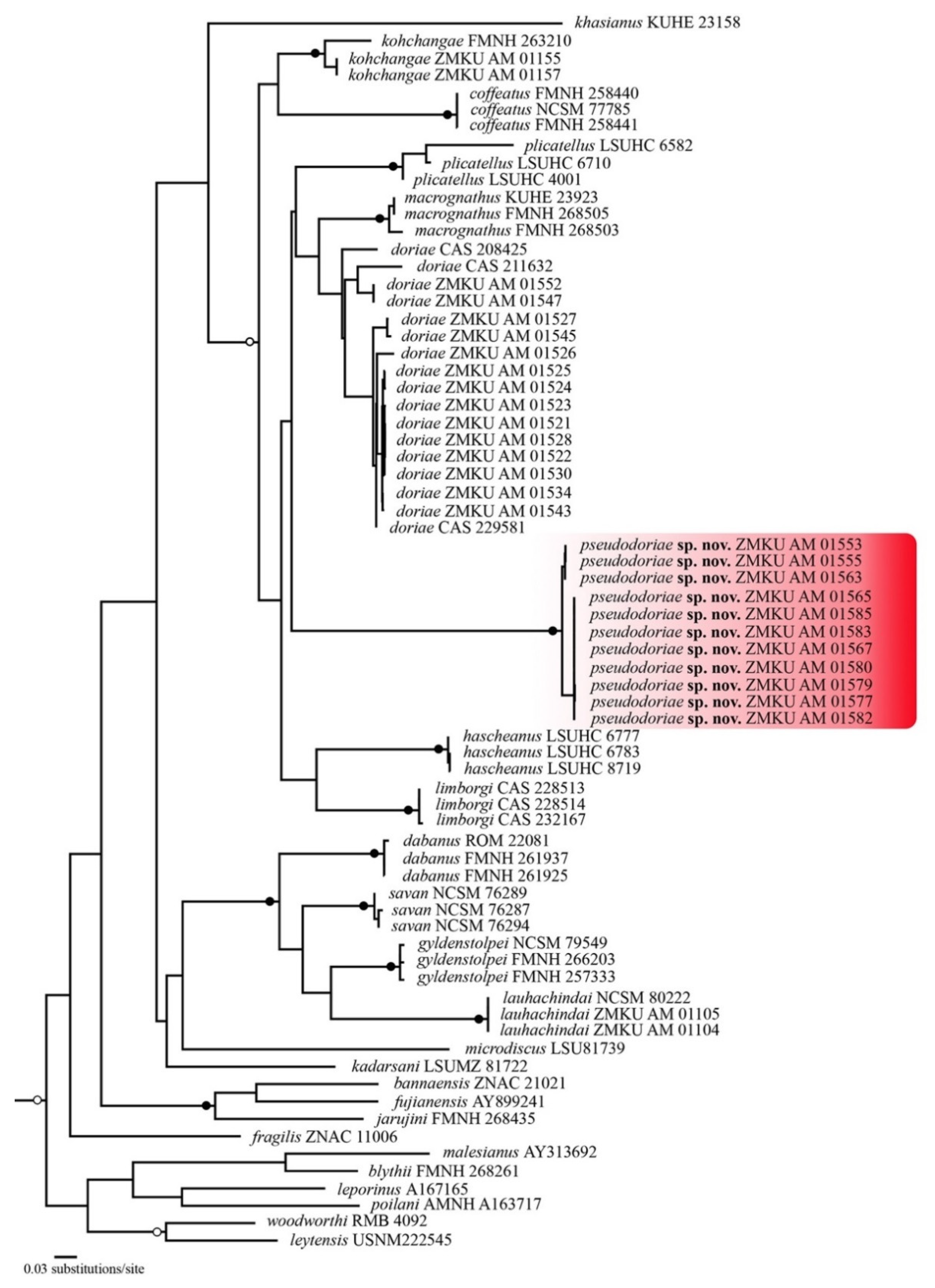 Animals 11 00566 g002