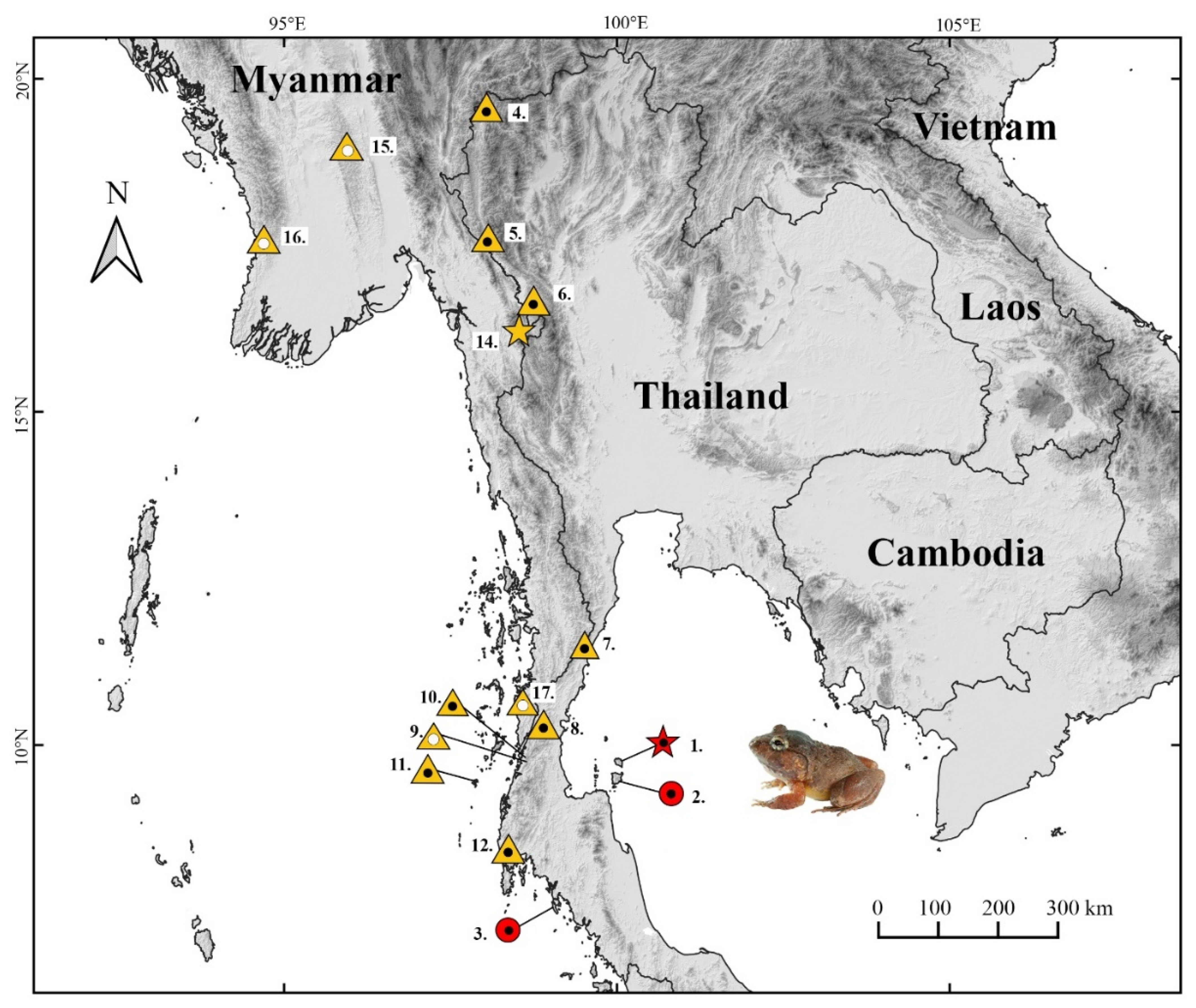 Animals 11 00566 g008