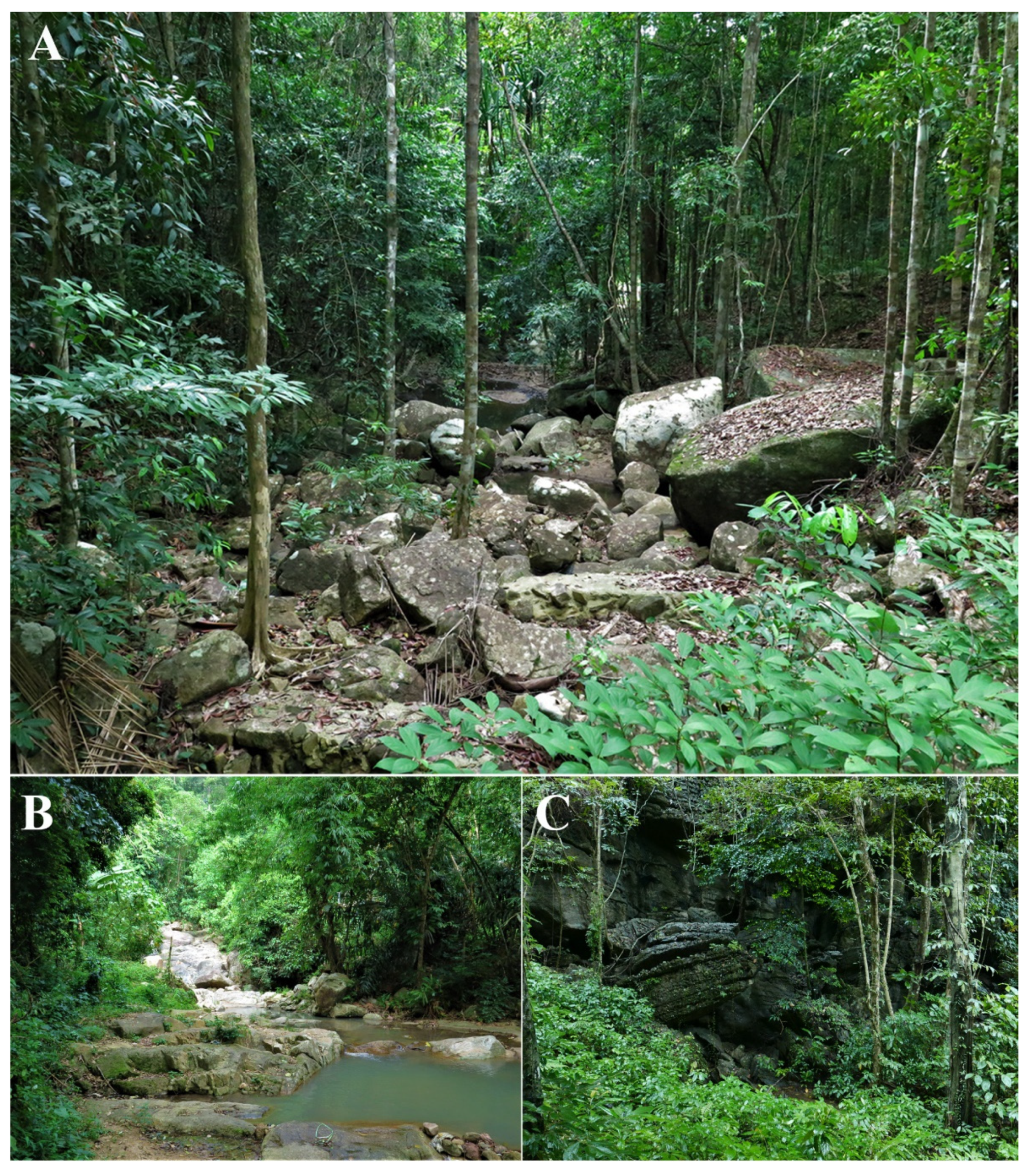 Animals 11 00566 g009