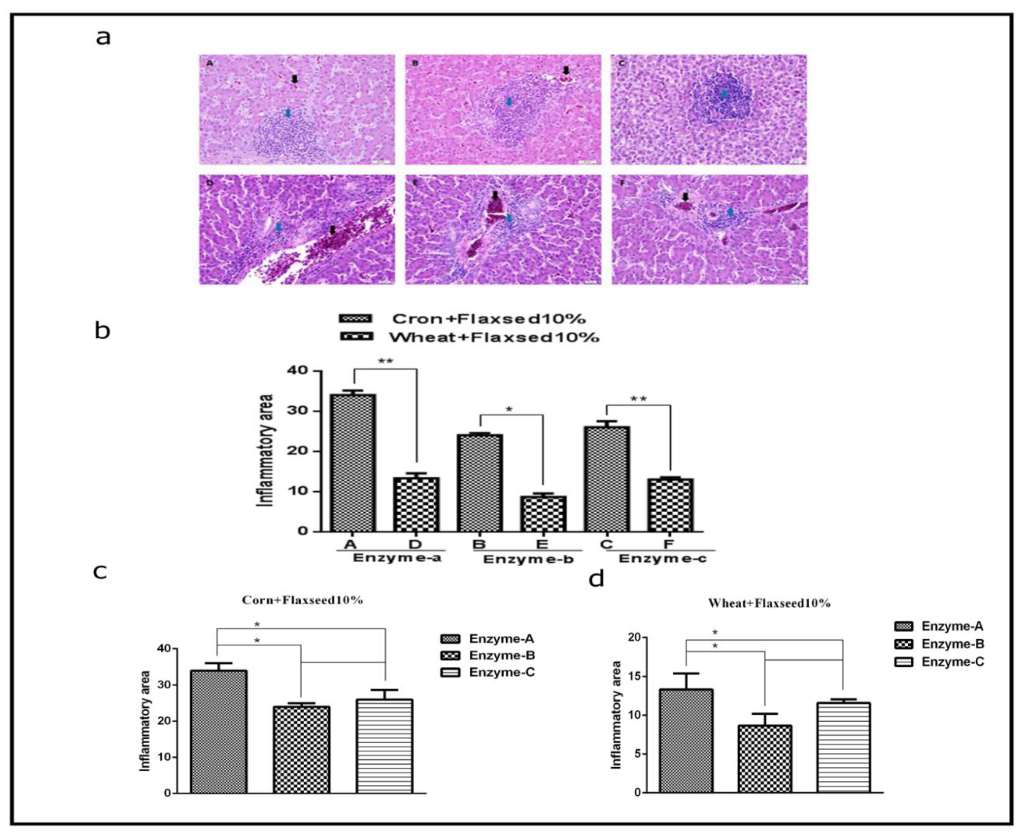 Animals 11 00600 g003