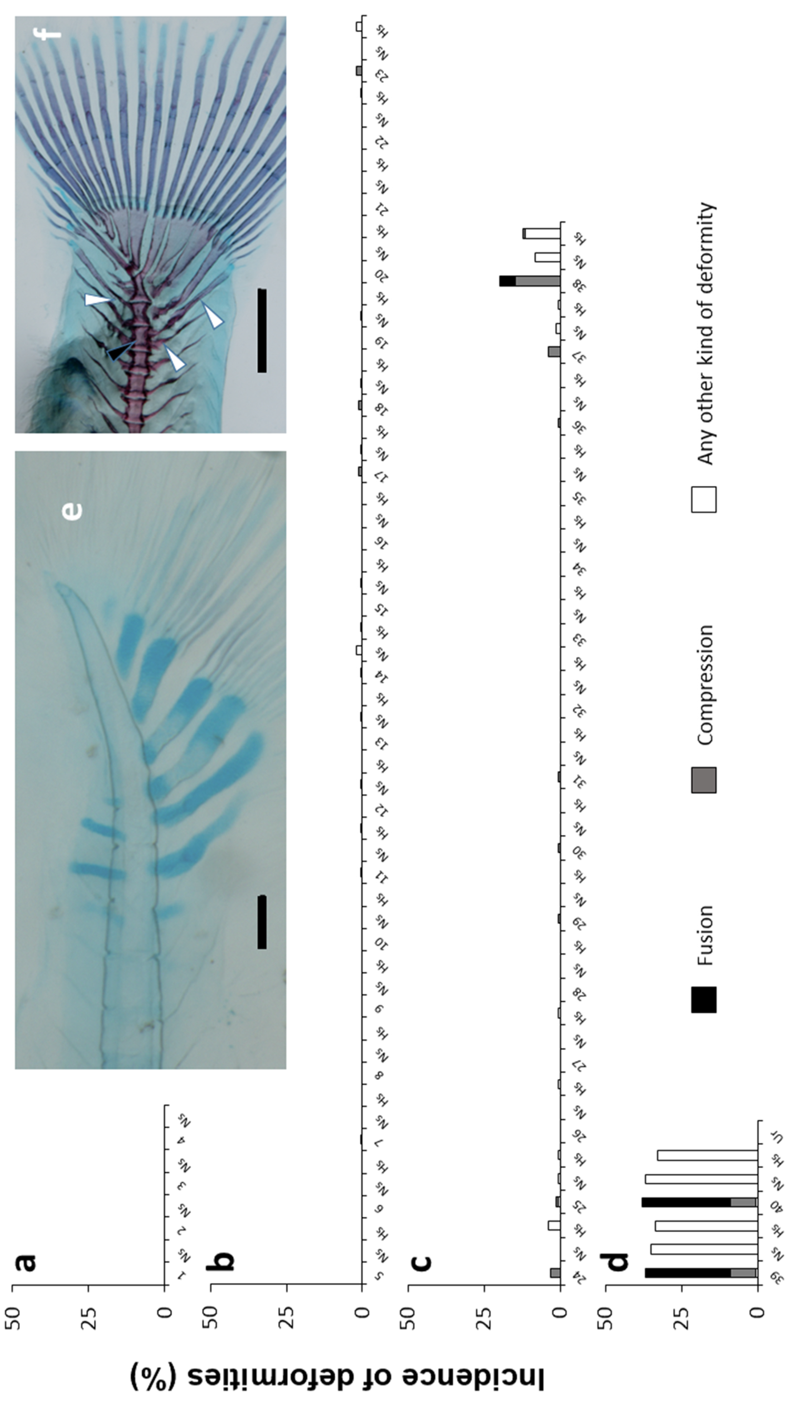 Animals 11 00621 g007 Animals 11 00621 g007