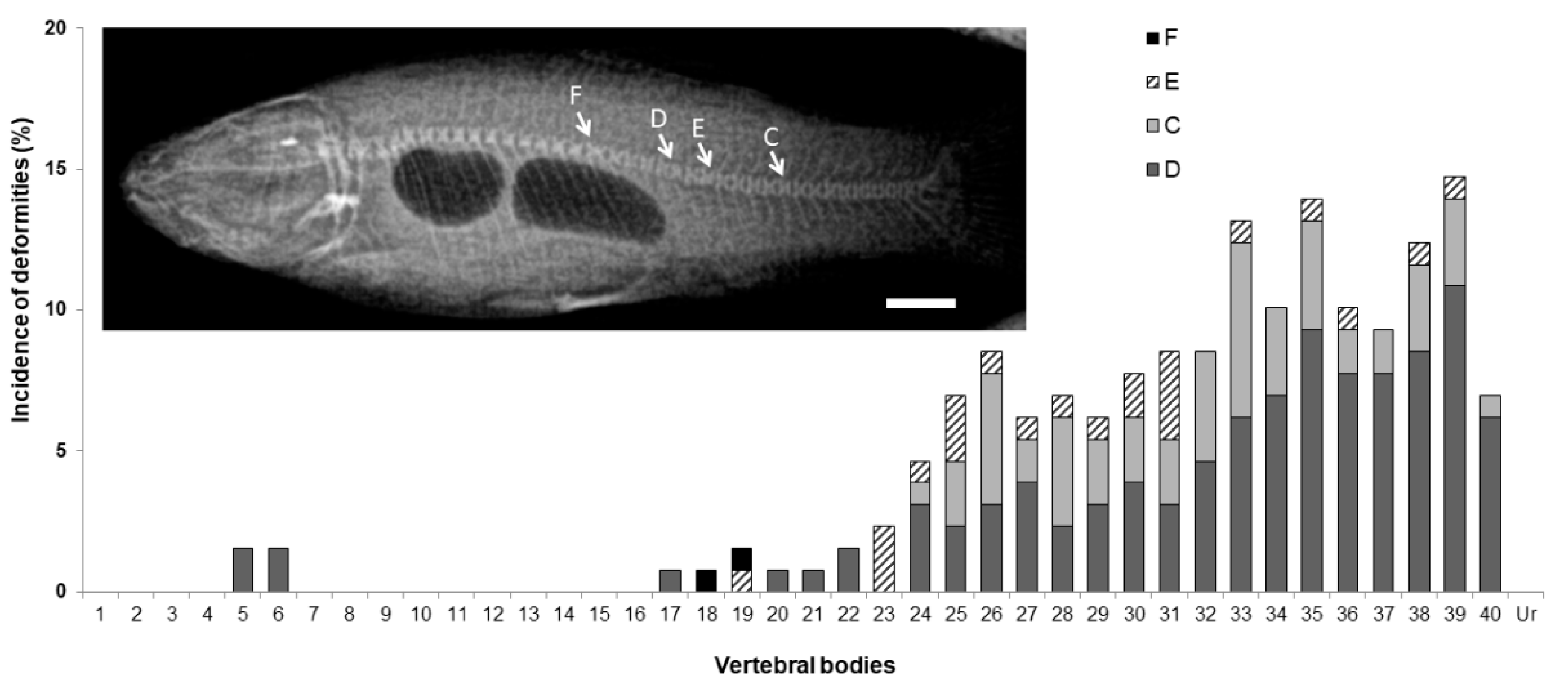 Animals 11 00621 g009 Animals 11 00621 g009