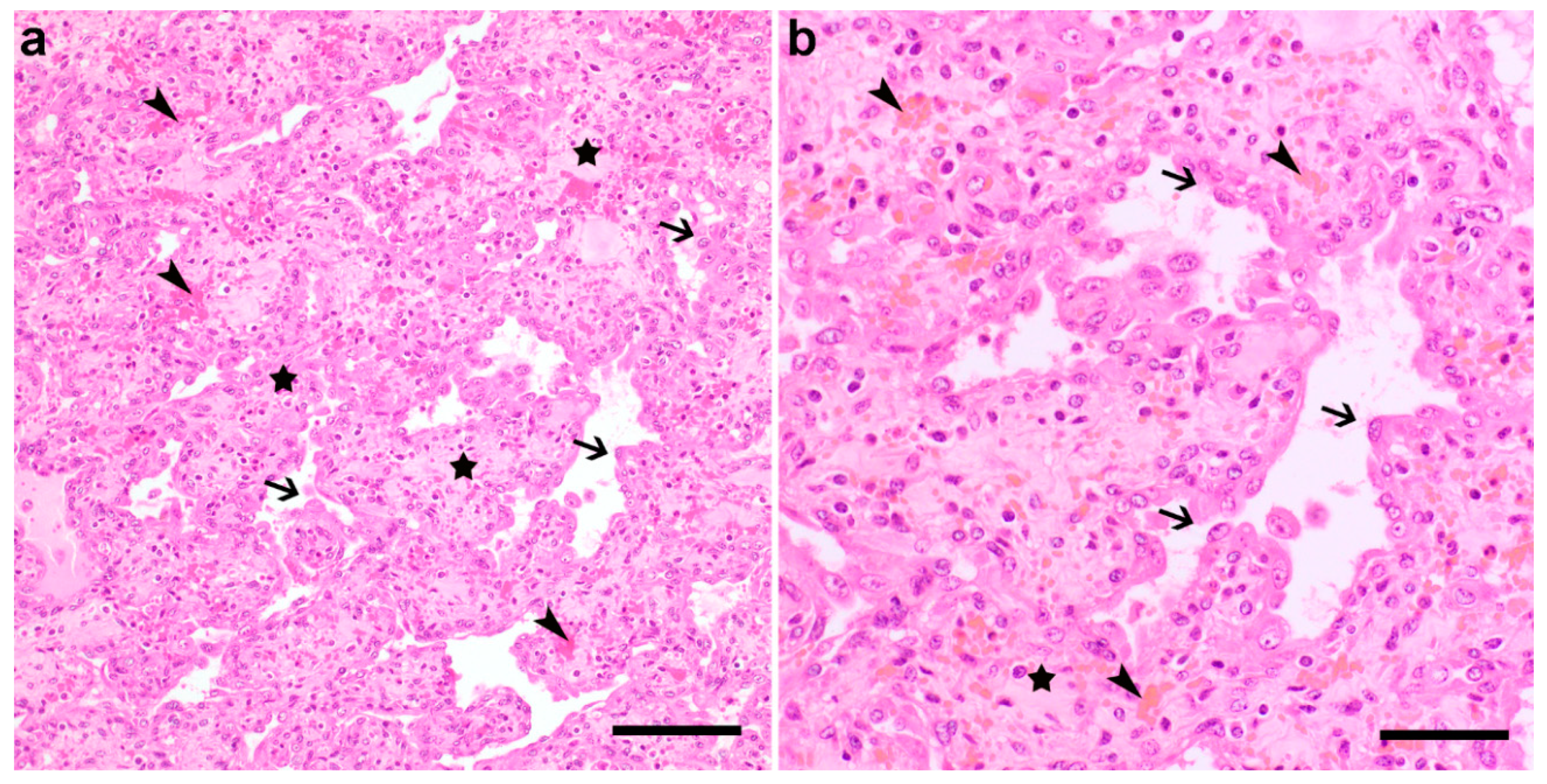 Animals 11 00624 g002