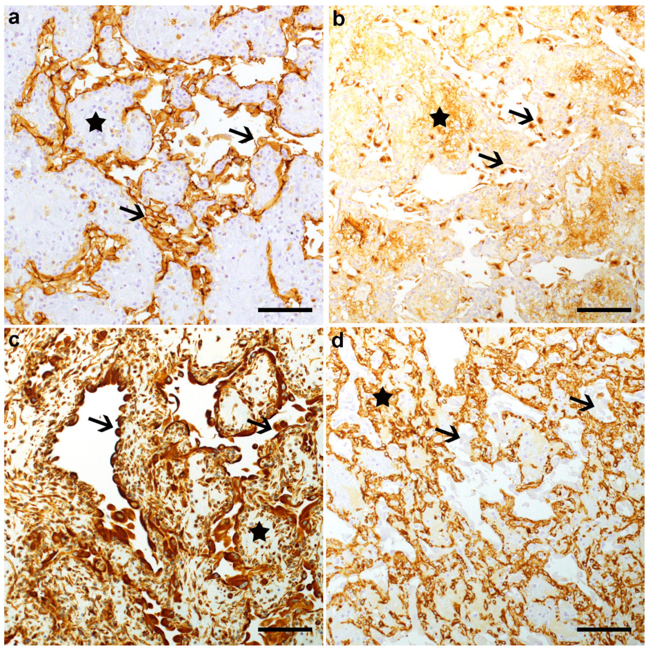 Animals 11 00624 g003