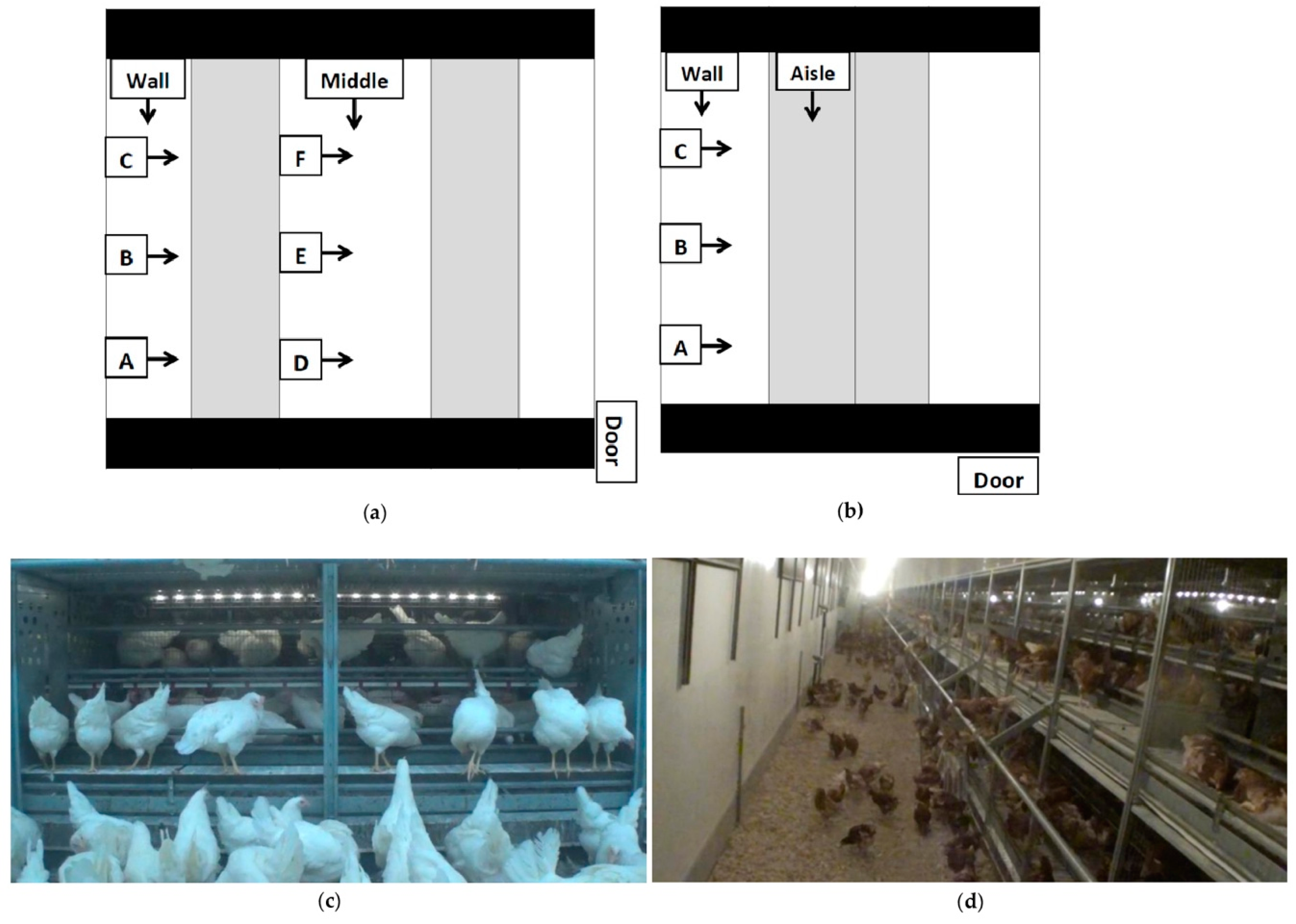 Animals 11 00634 g002