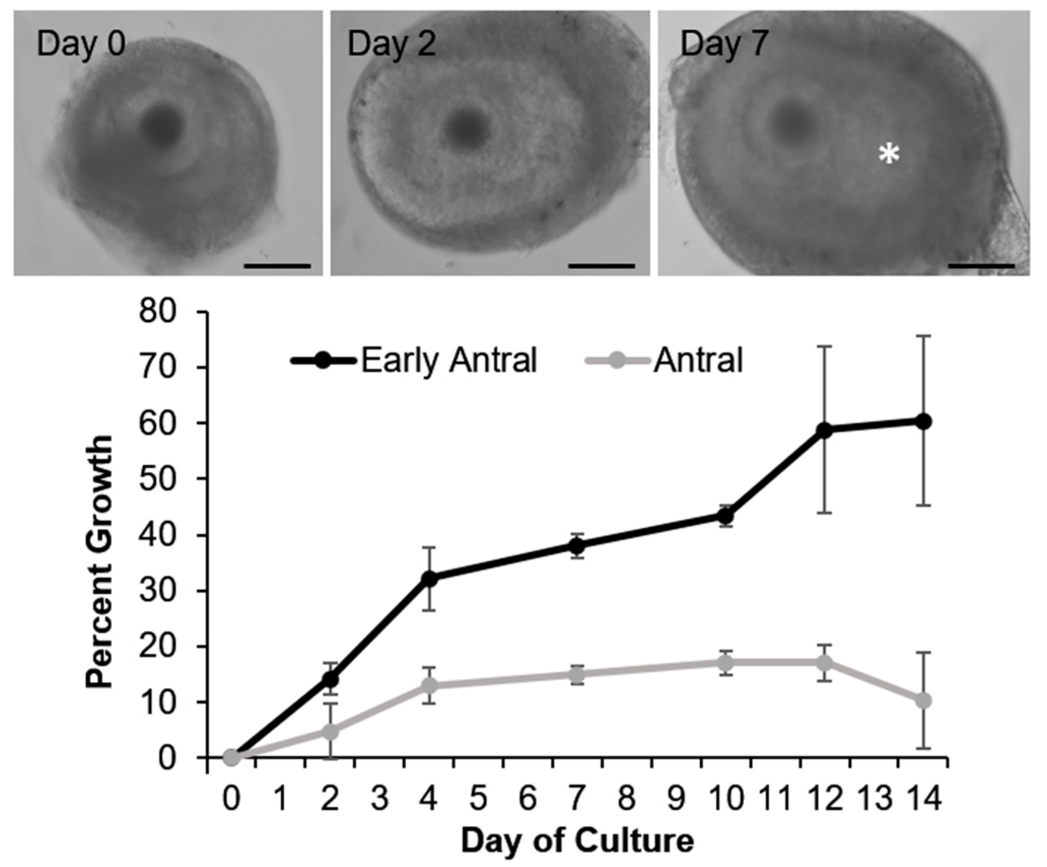 Animals 11 00653 g002