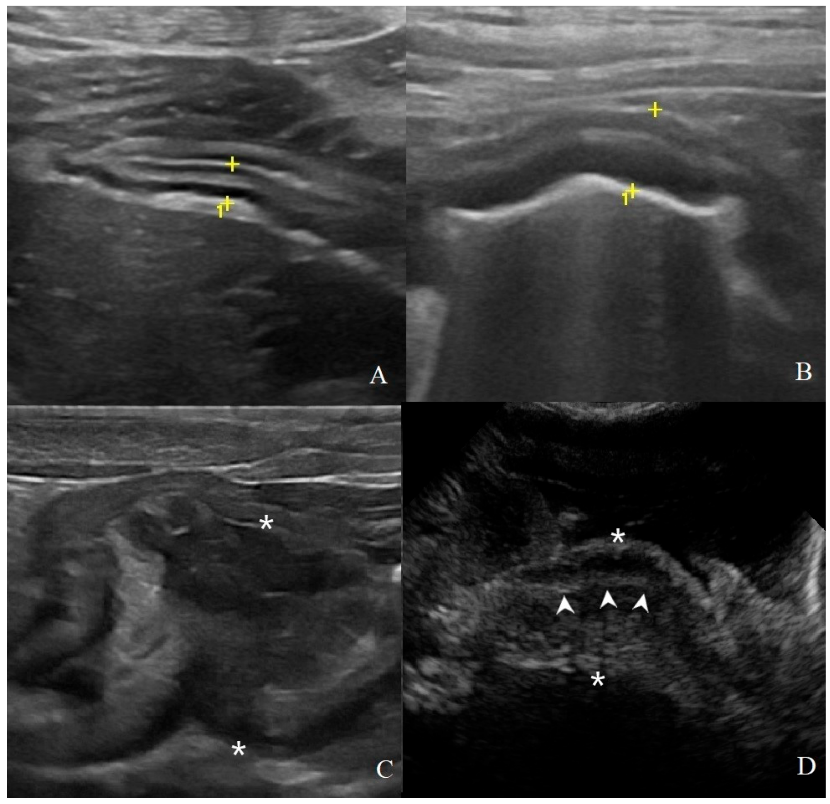 Animals 11 00670 g002