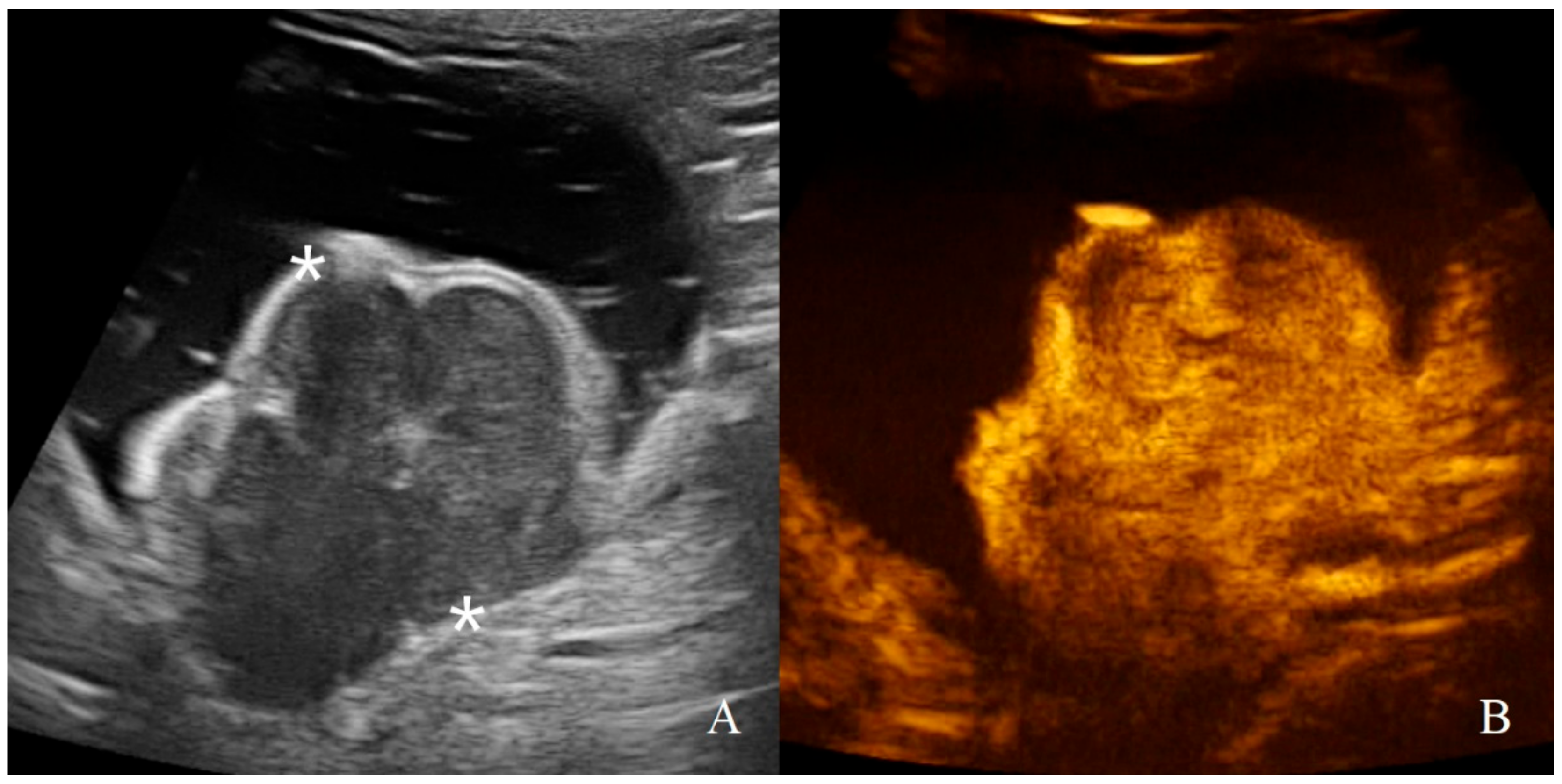 Animals 11 00670 g010