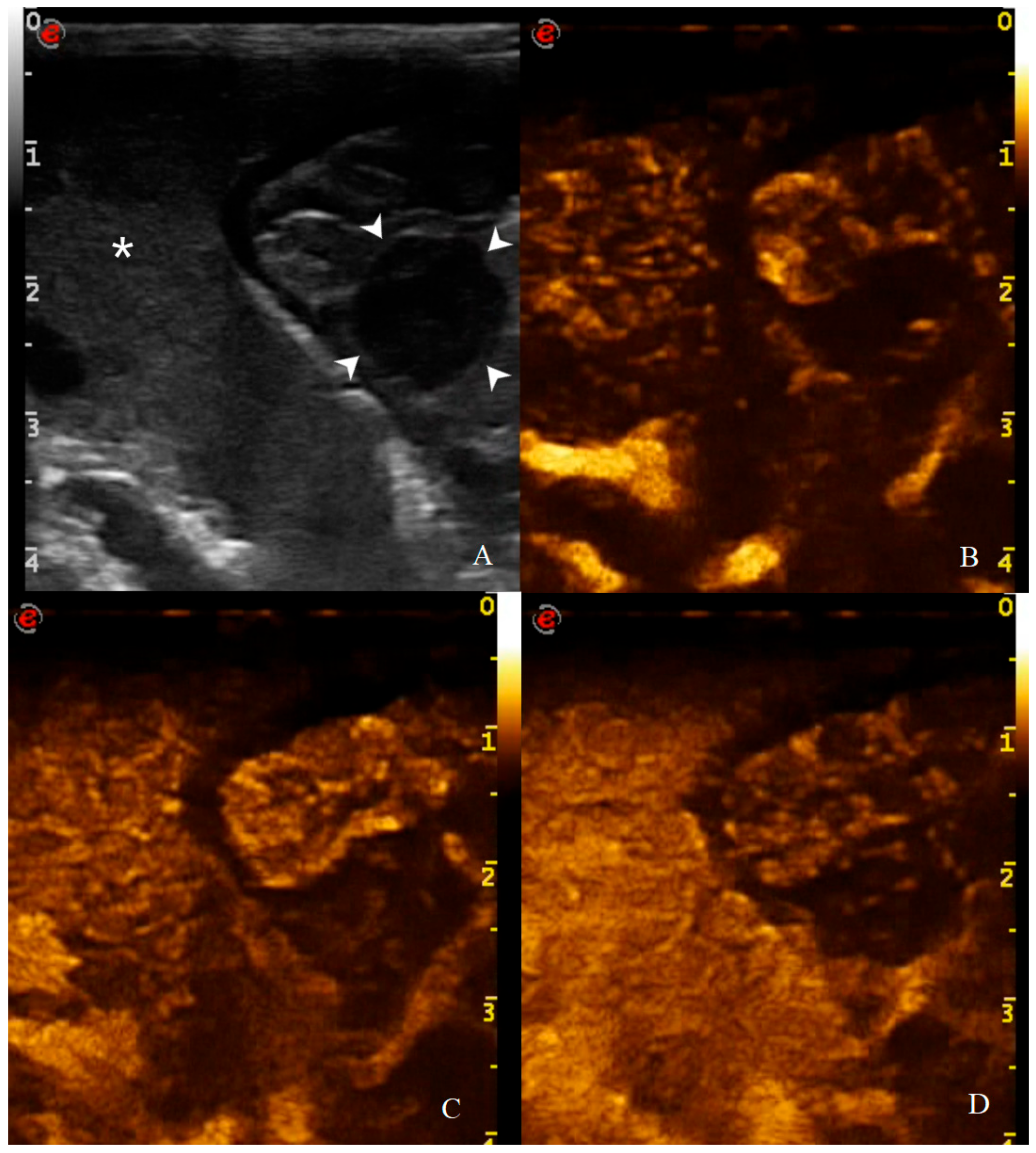 Animals 11 00670 g011