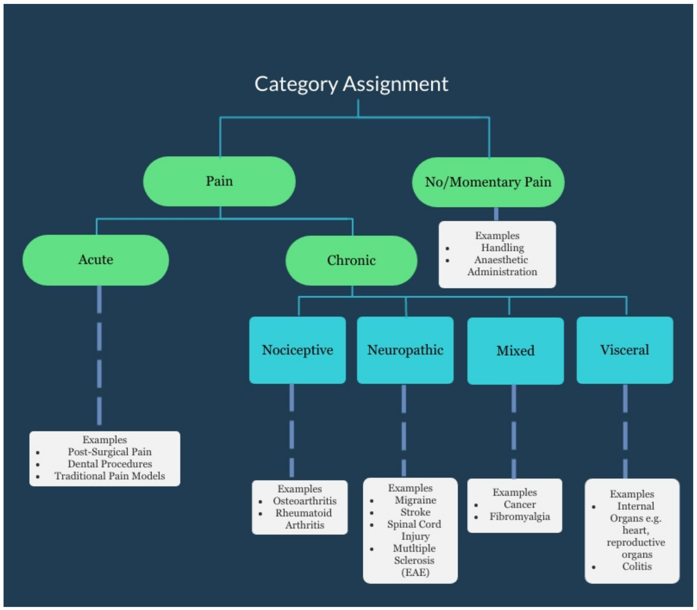 Animals 11 00673 g003