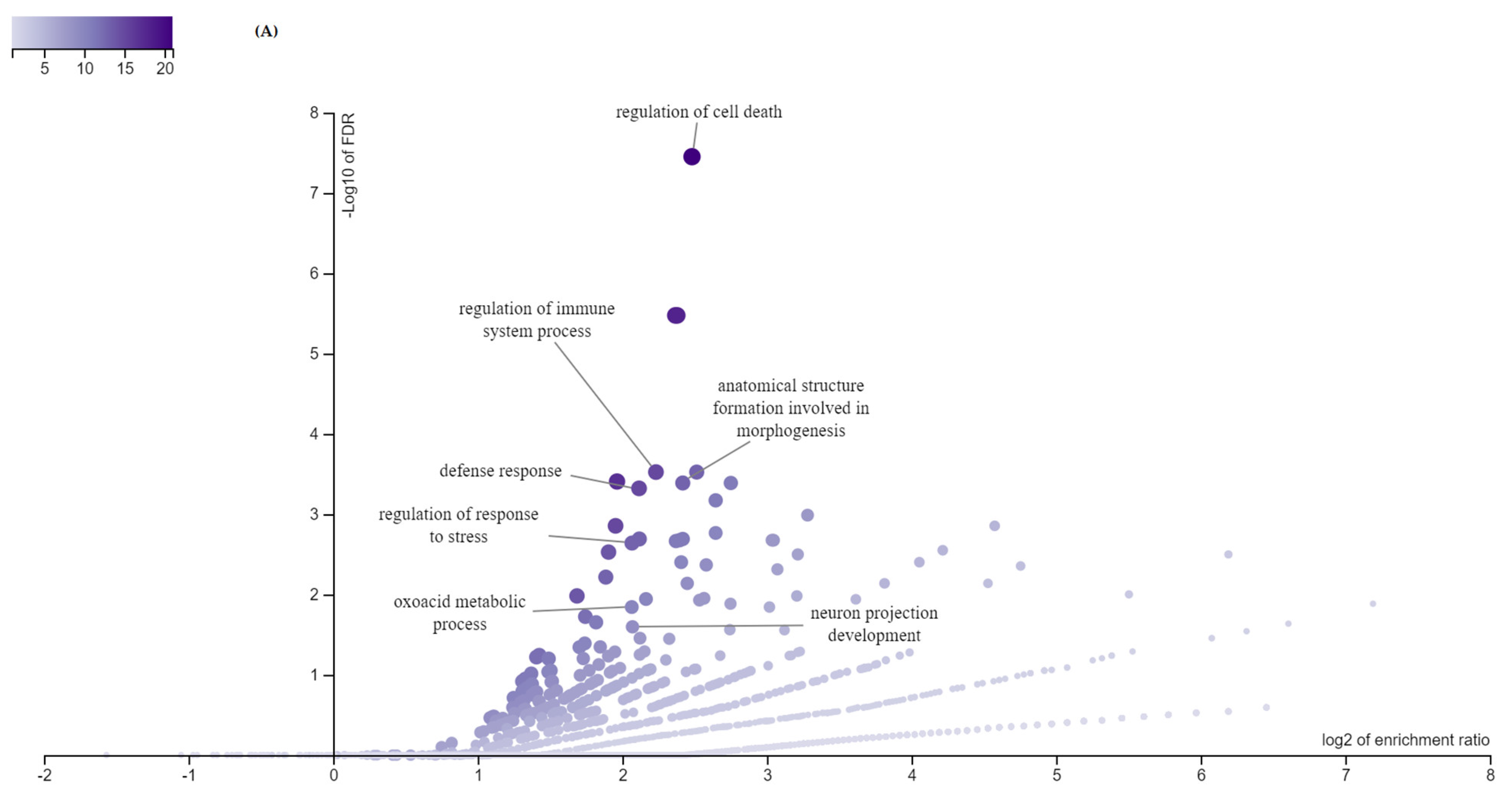 Animals 11 00675 g002a Animals 11 00675 g002a