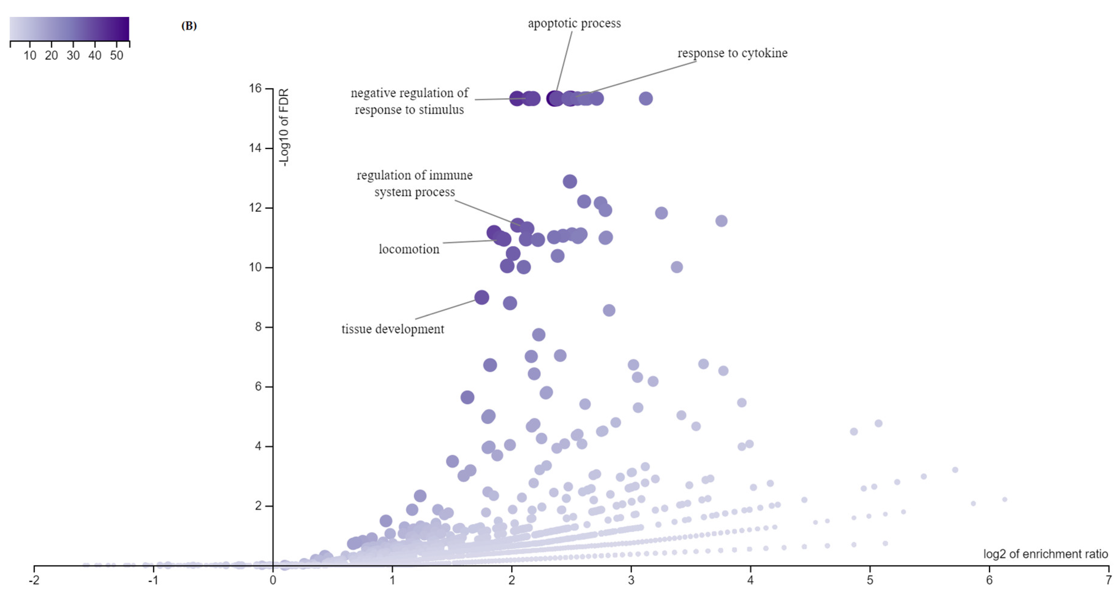 Animals 11 00675 g002b Animals 11 00675 g002b
