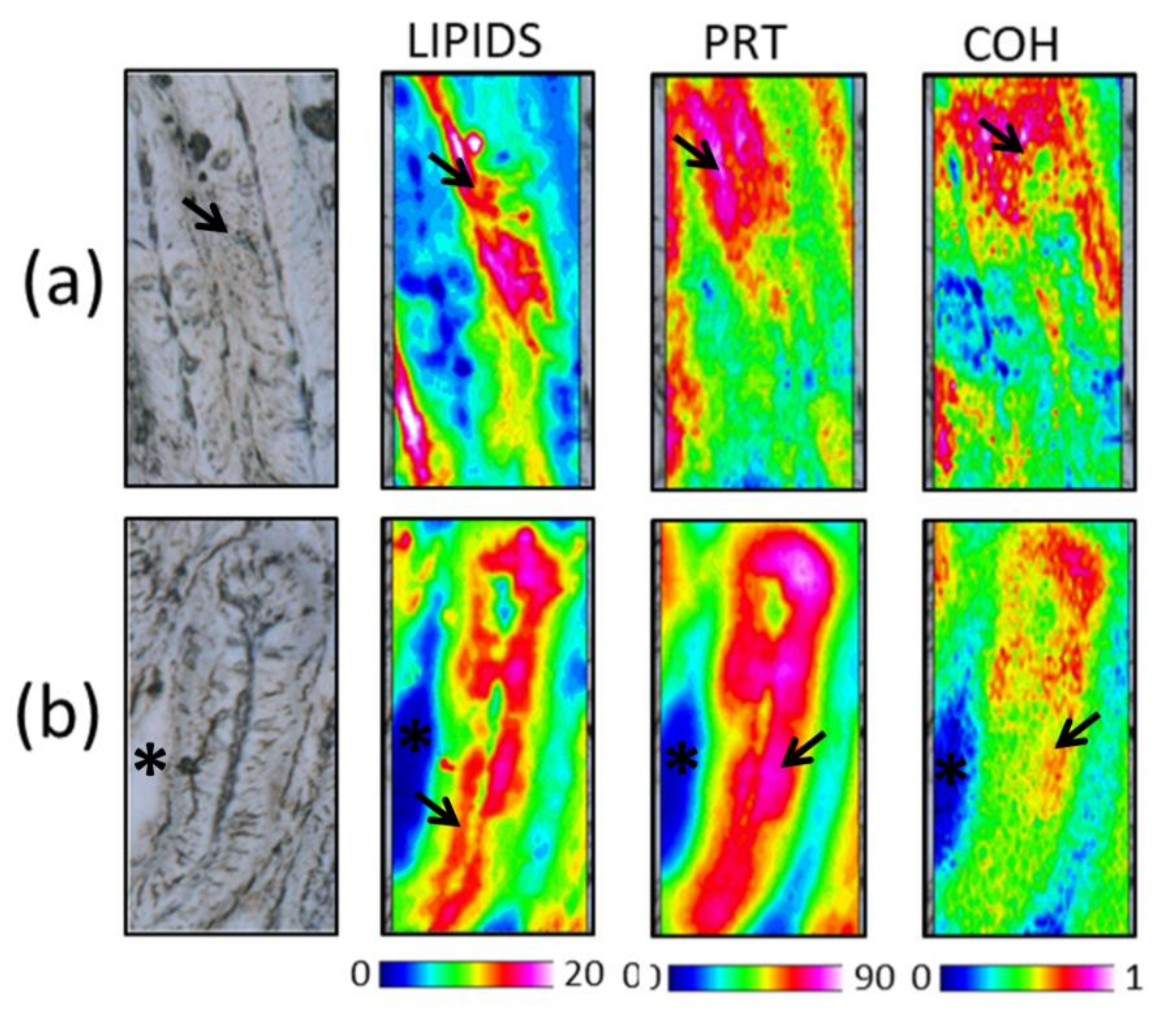 Animals 11 00677 g005