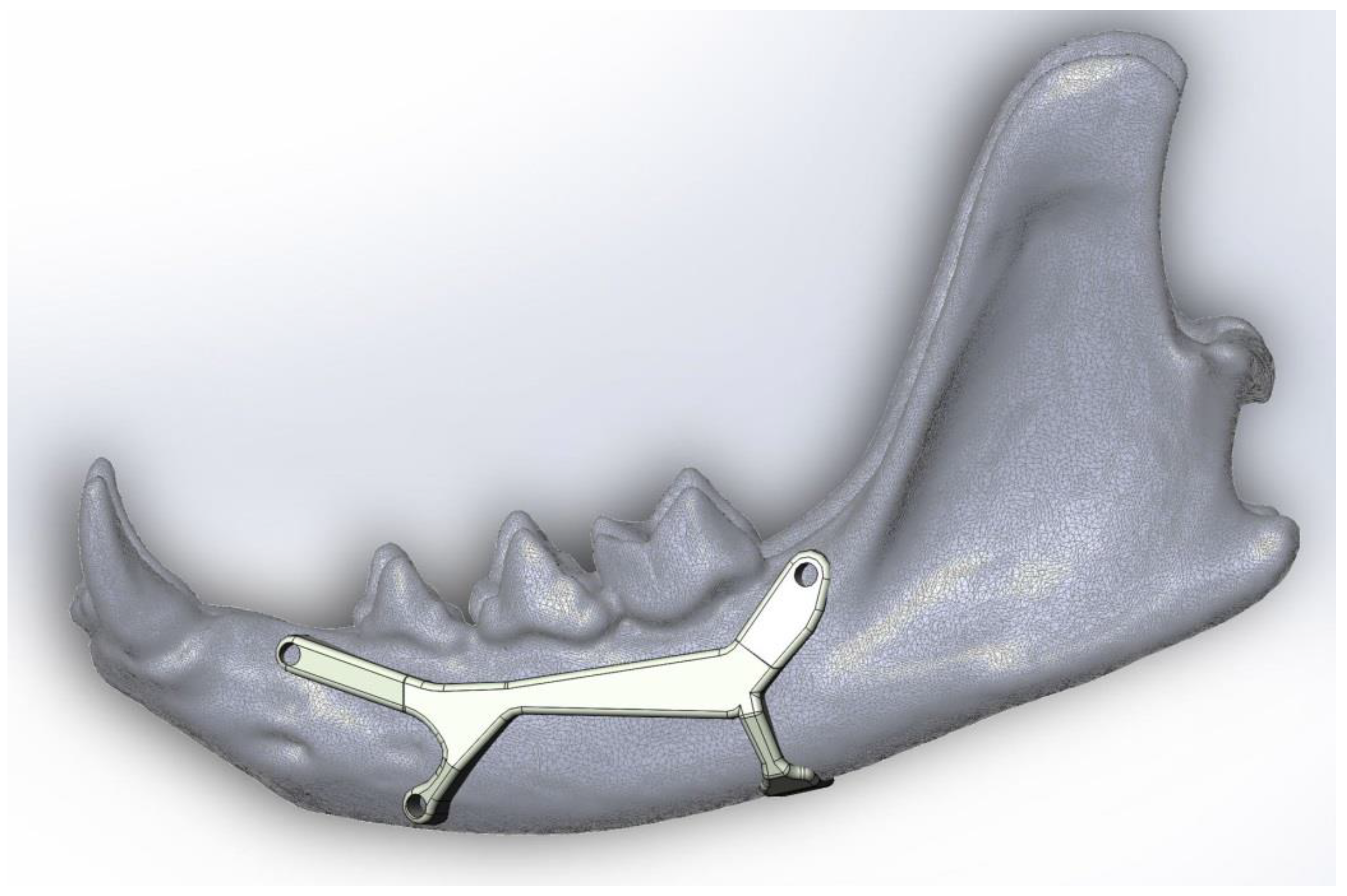 Animals 11 00683 g002