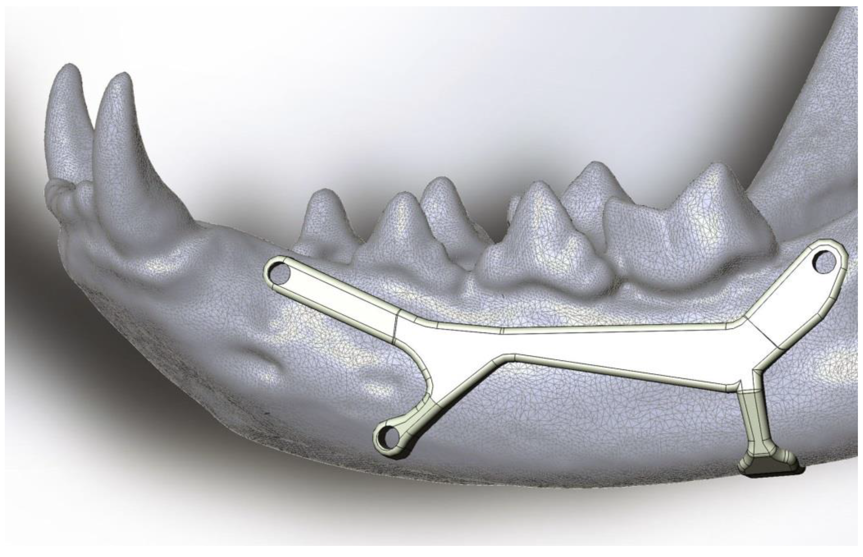 Animals 11 00683 g003