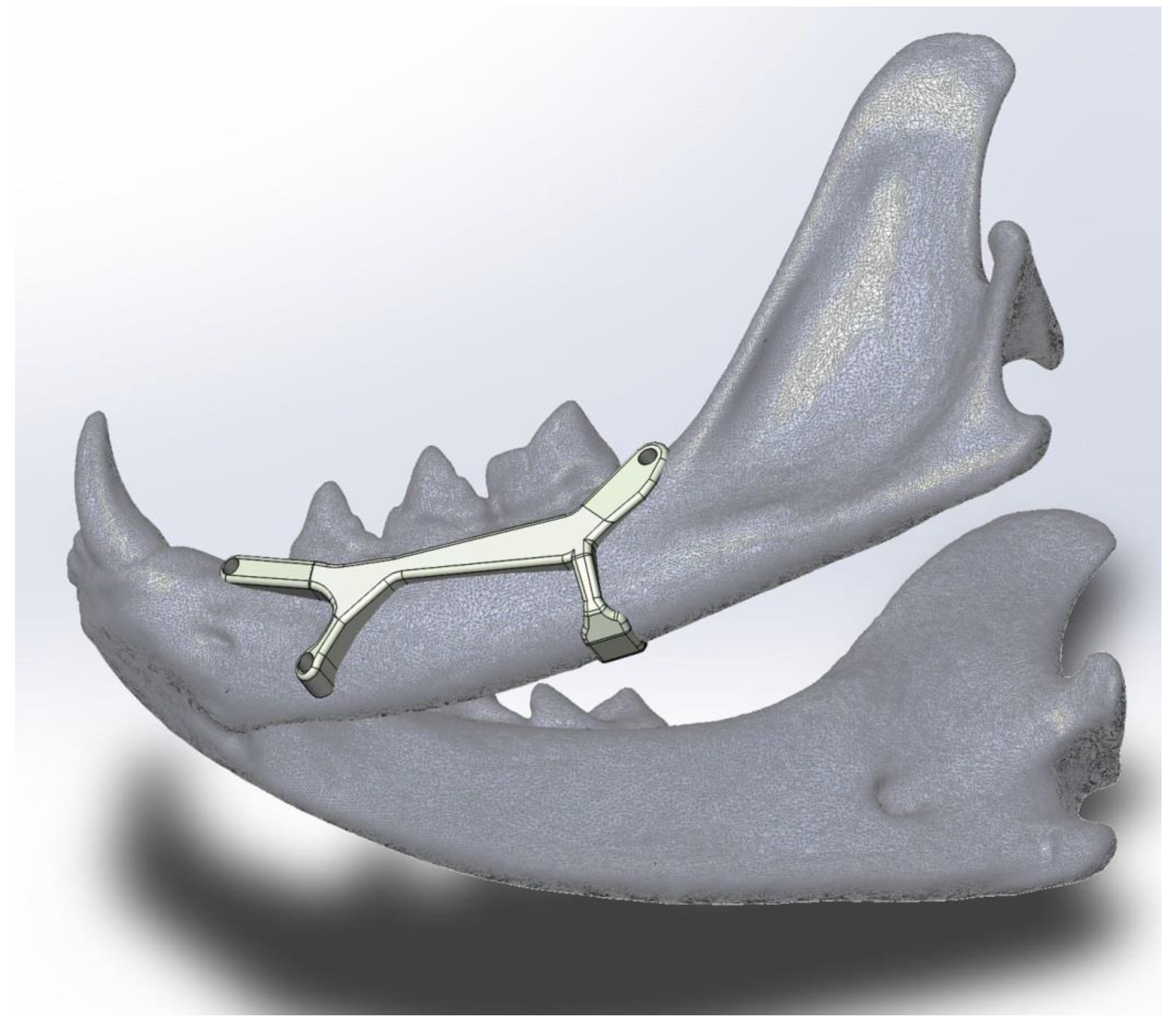 Animals 11 00683 g004