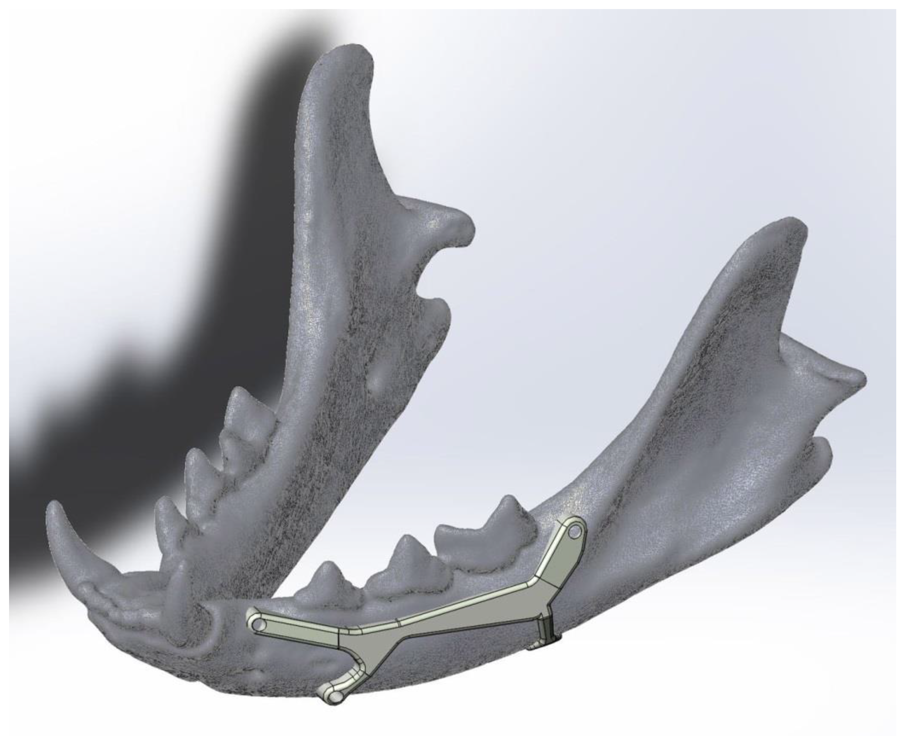 Animals 11 00683 g005