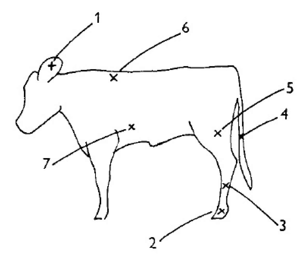 Animals 11 00703 g001 Animals 11 00703 g001